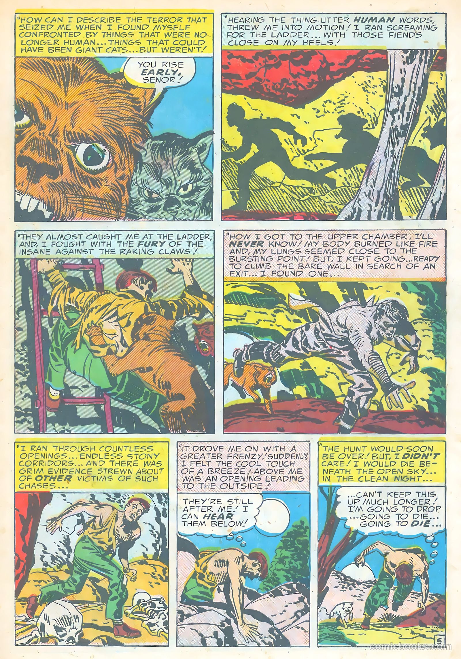 Black Magic #27 — page 7 of 36
