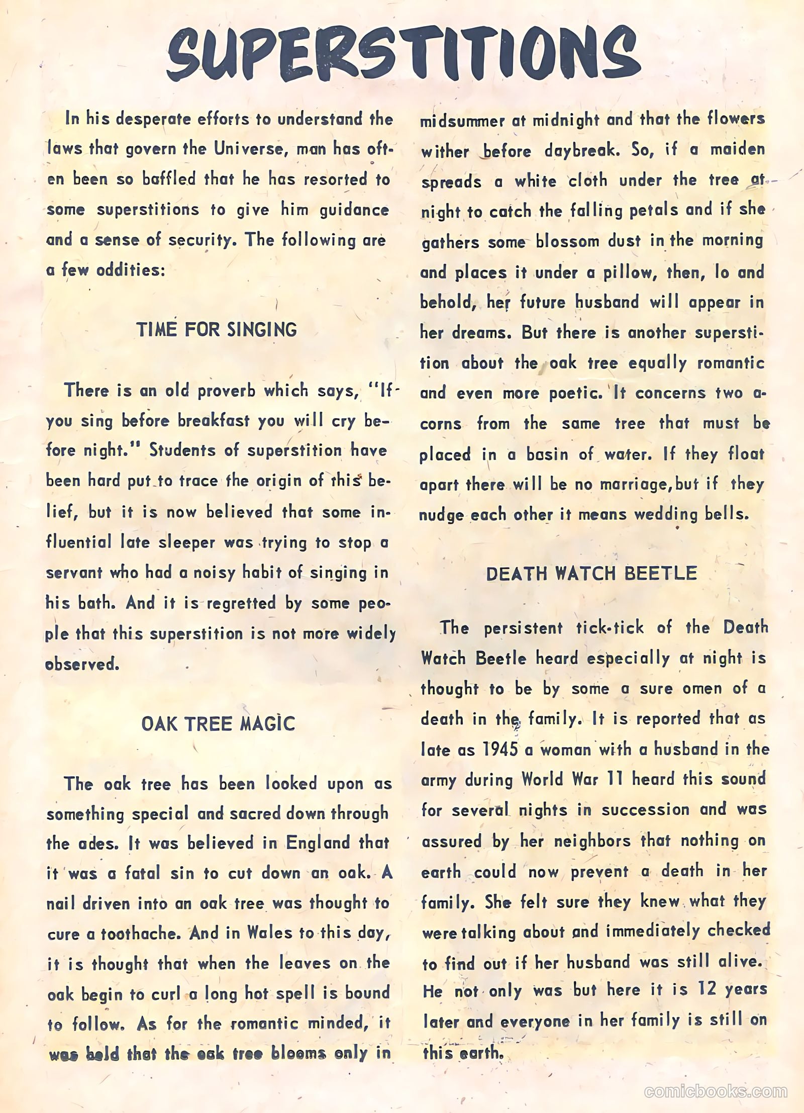 Black Magic #36 — page 11 of 36