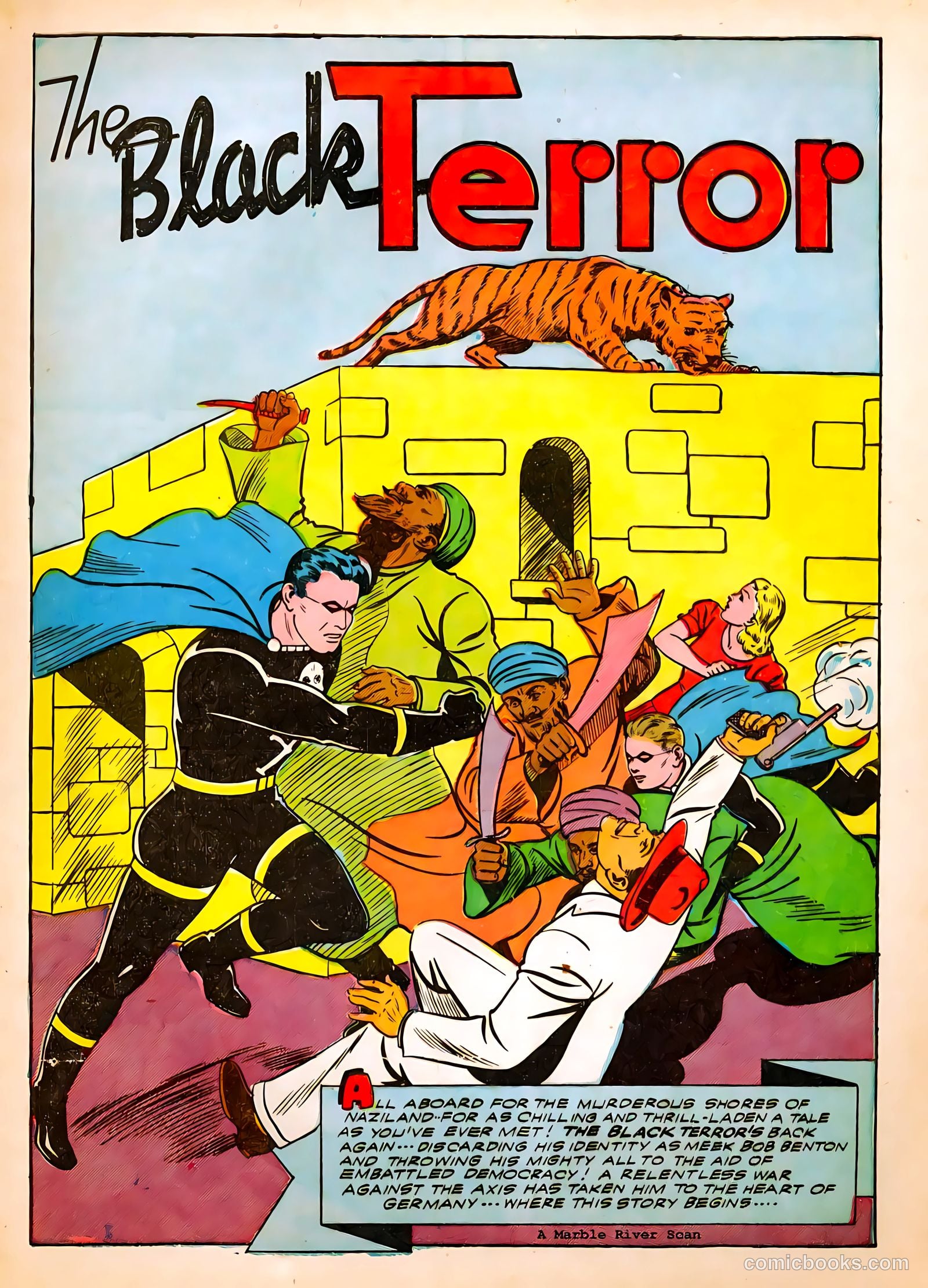 The Black Terror #2 — page 16 of 65