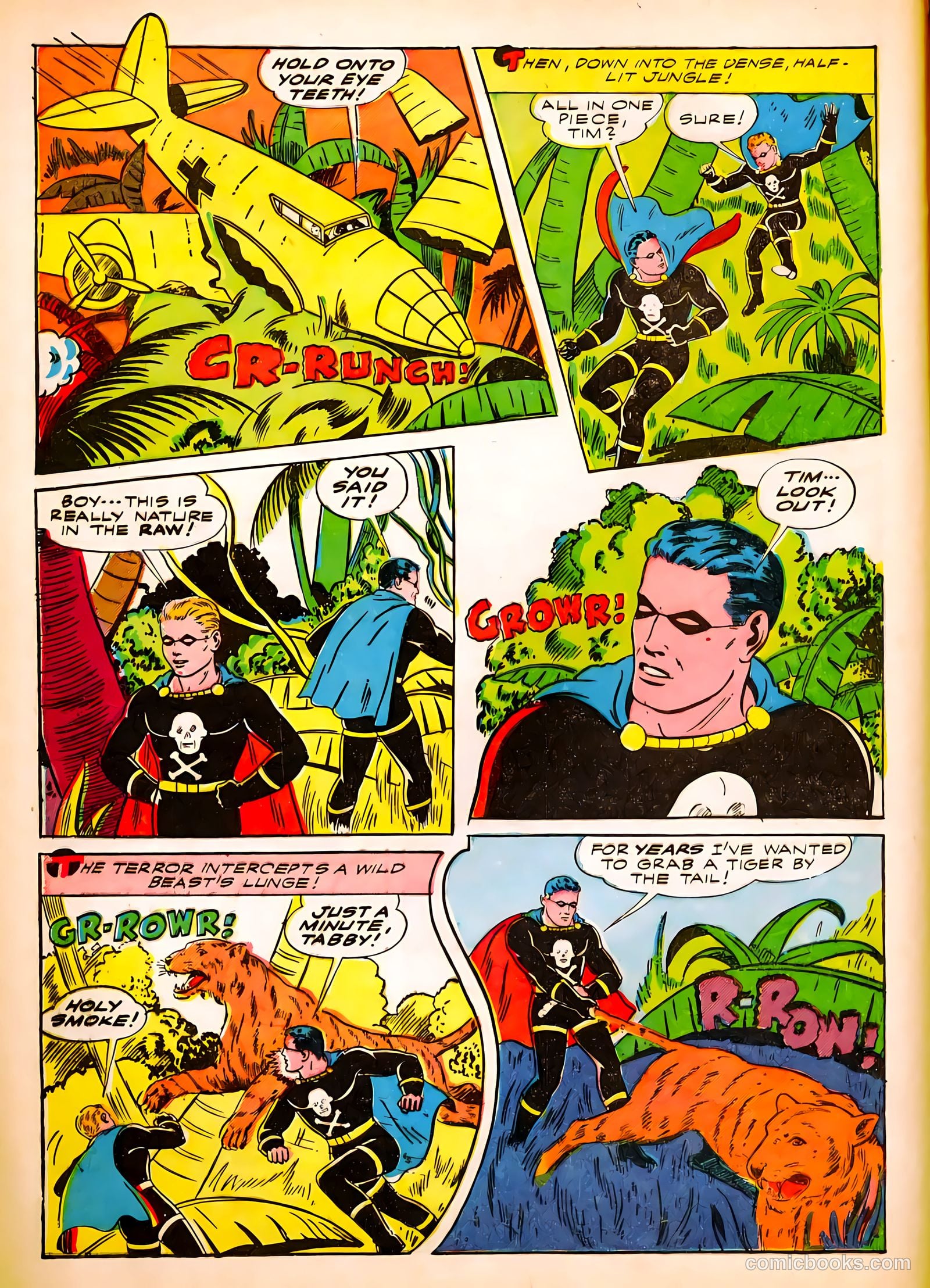 The Black Terror #2 — page 19 of 65
