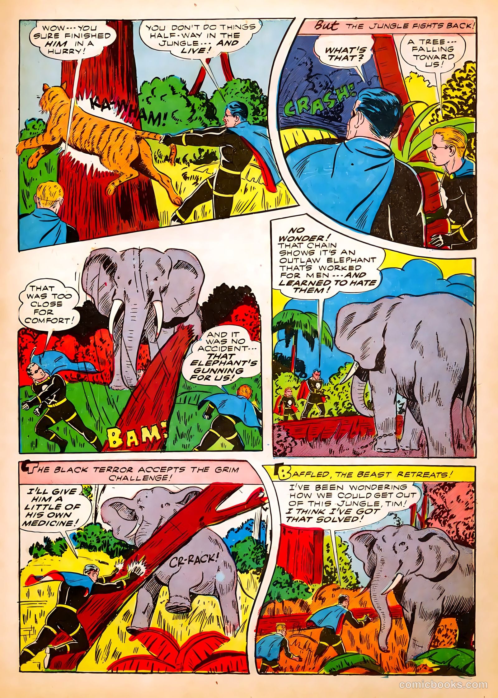 The Black Terror #2 — page 20 of 65