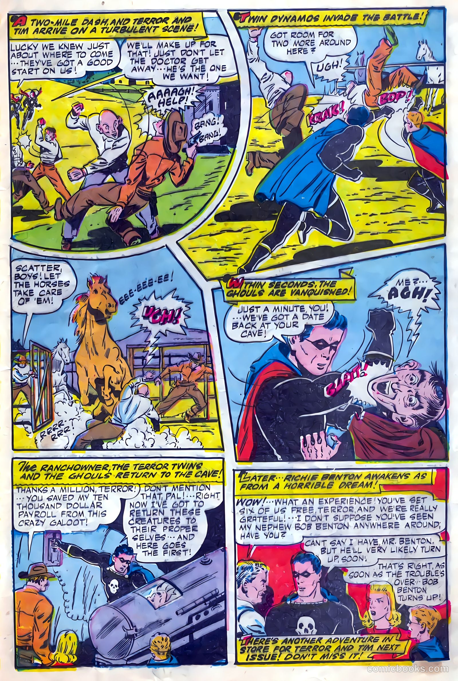 The Black Terror #12 — page 14 of 38