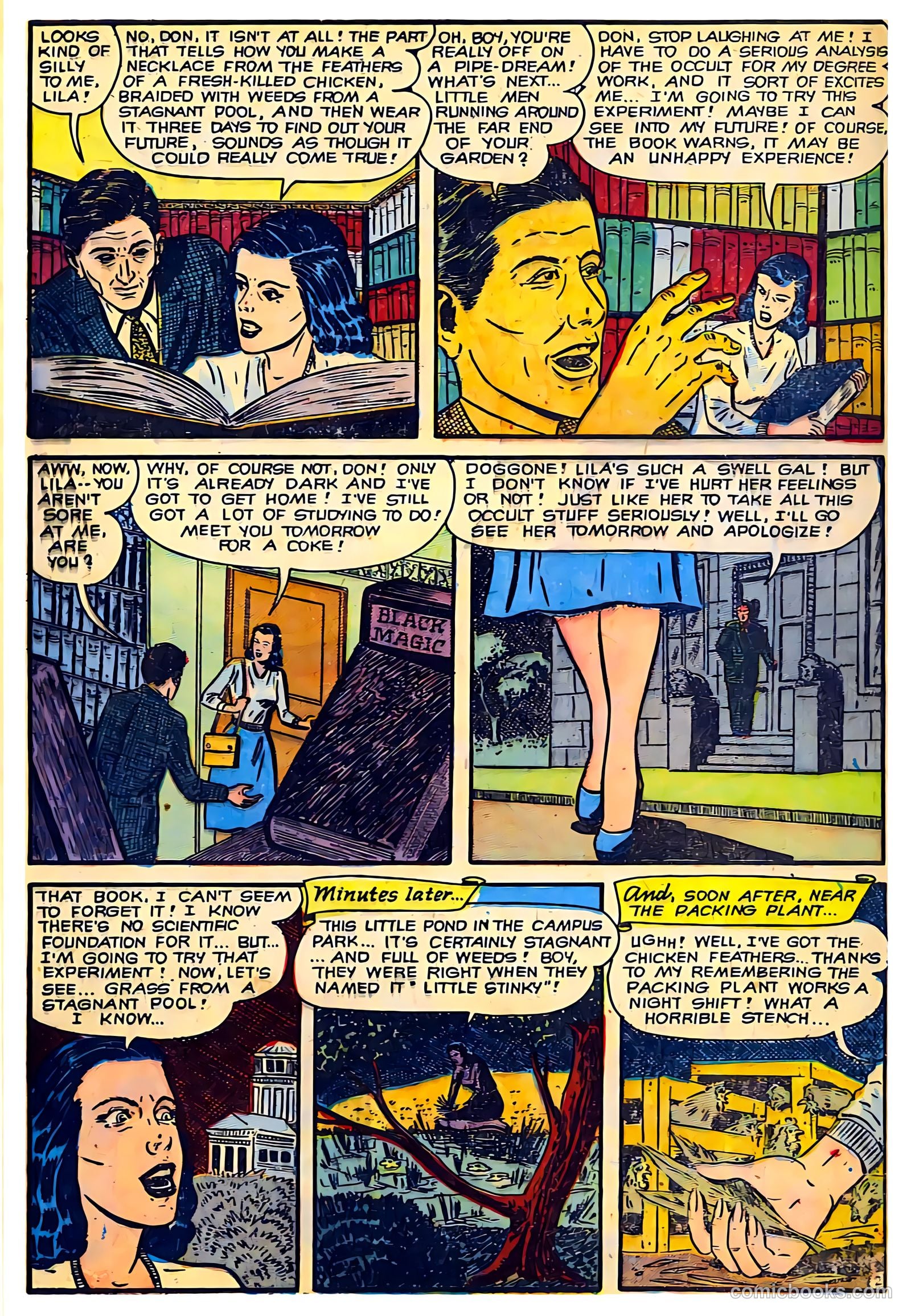 Voodoo #6 — page 24 of 29