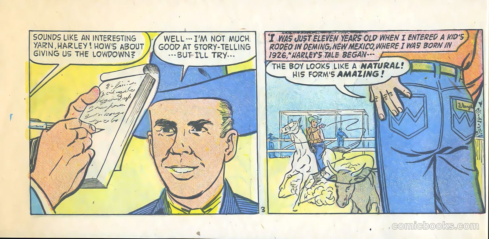 wrangler presents #5 — page 4 of 17