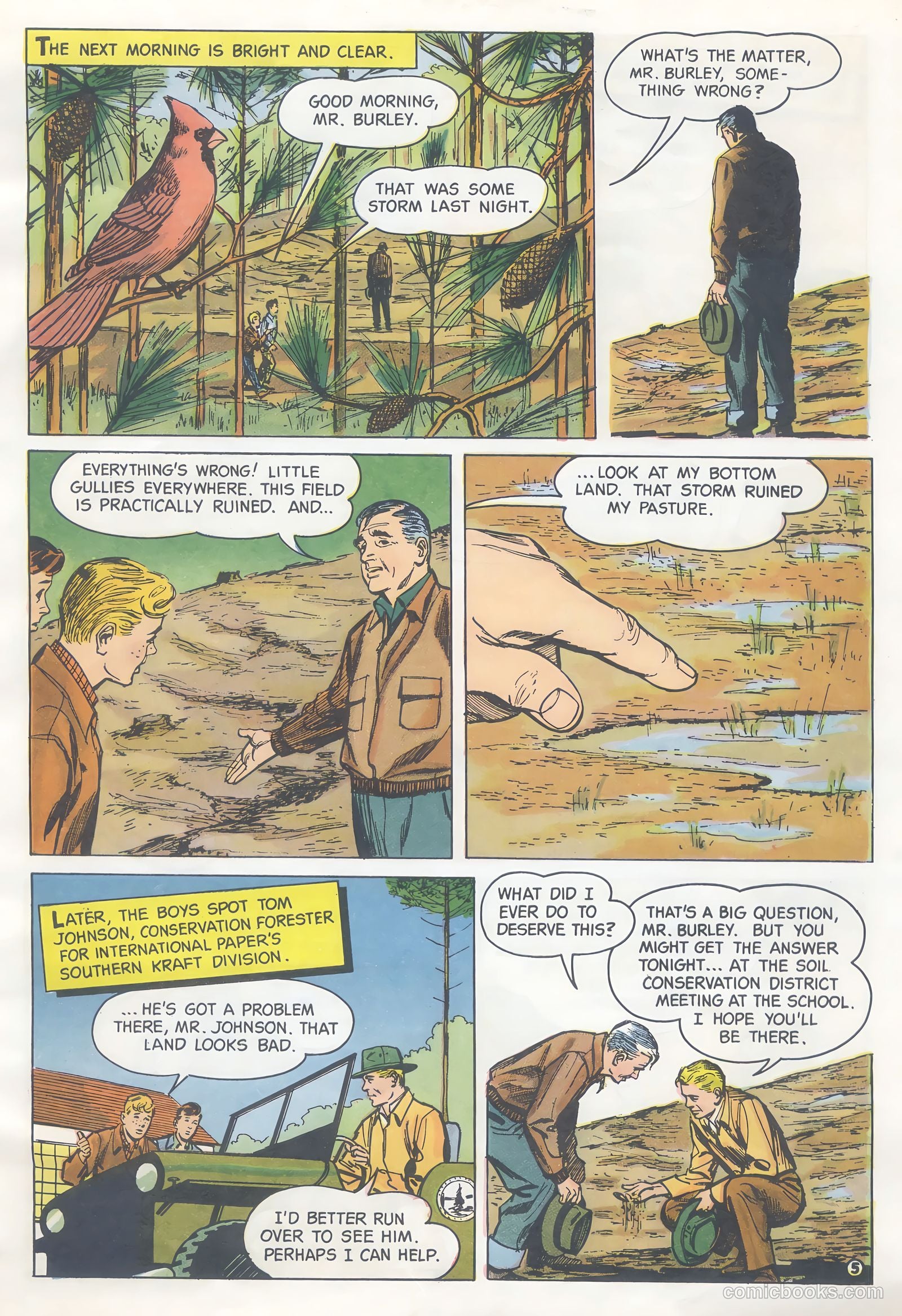 How Trees Put the Rain to Work #nn — page 5 of 16
