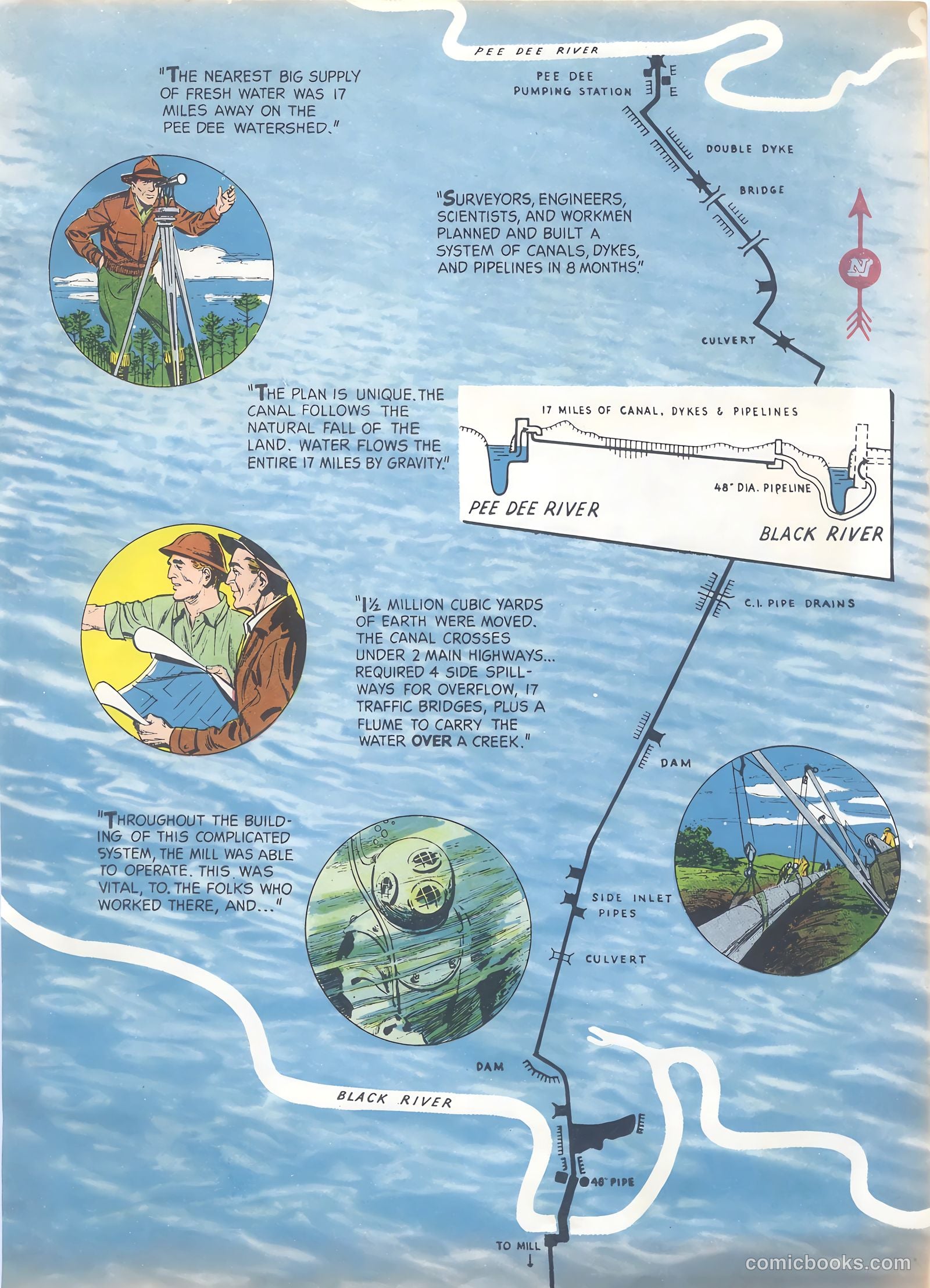 How Trees Put the Rain to Work #nn — page 7 of 16