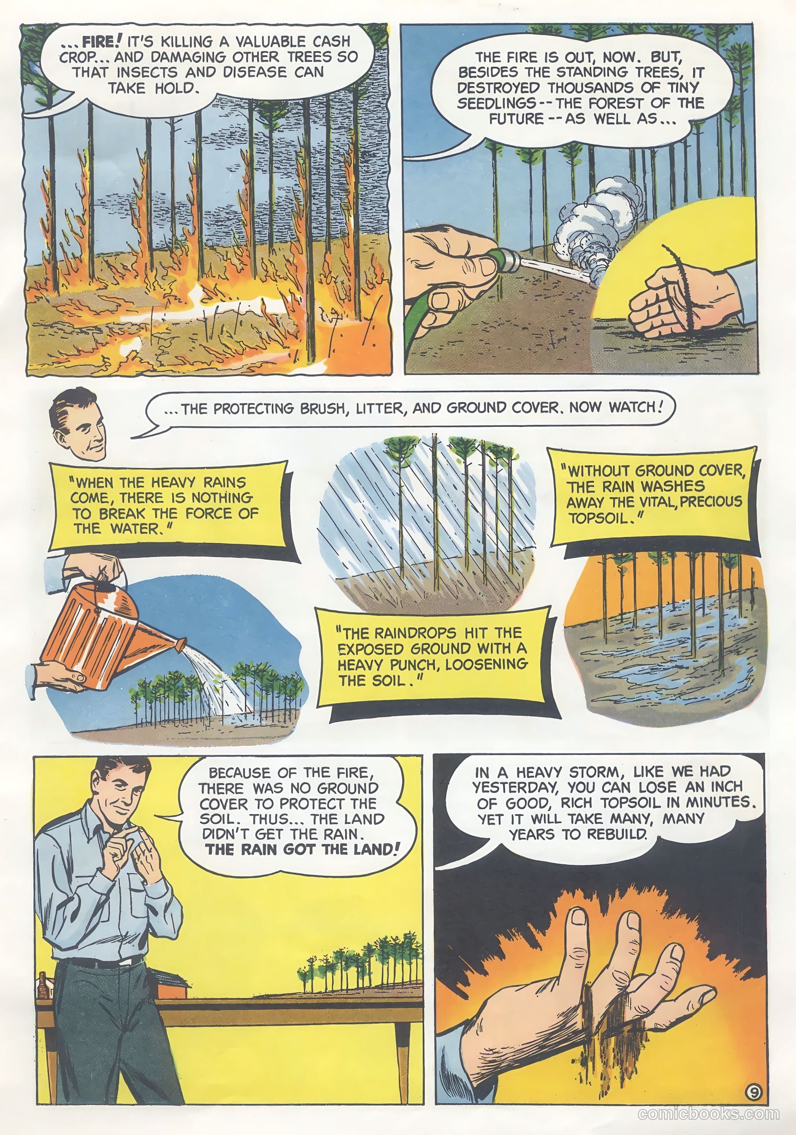 How Trees Put the Rain to Work #nn — page 9 of 16