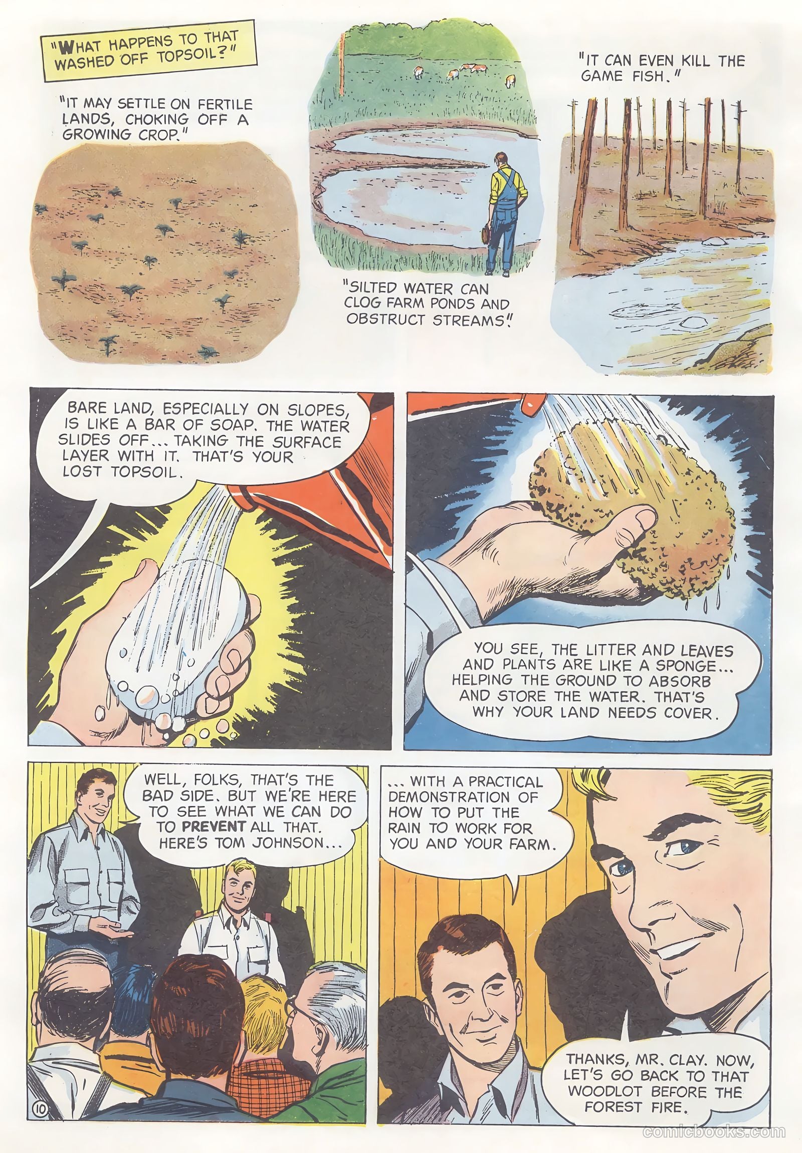 How Trees Put the Rain to Work #nn — page 10 of 16