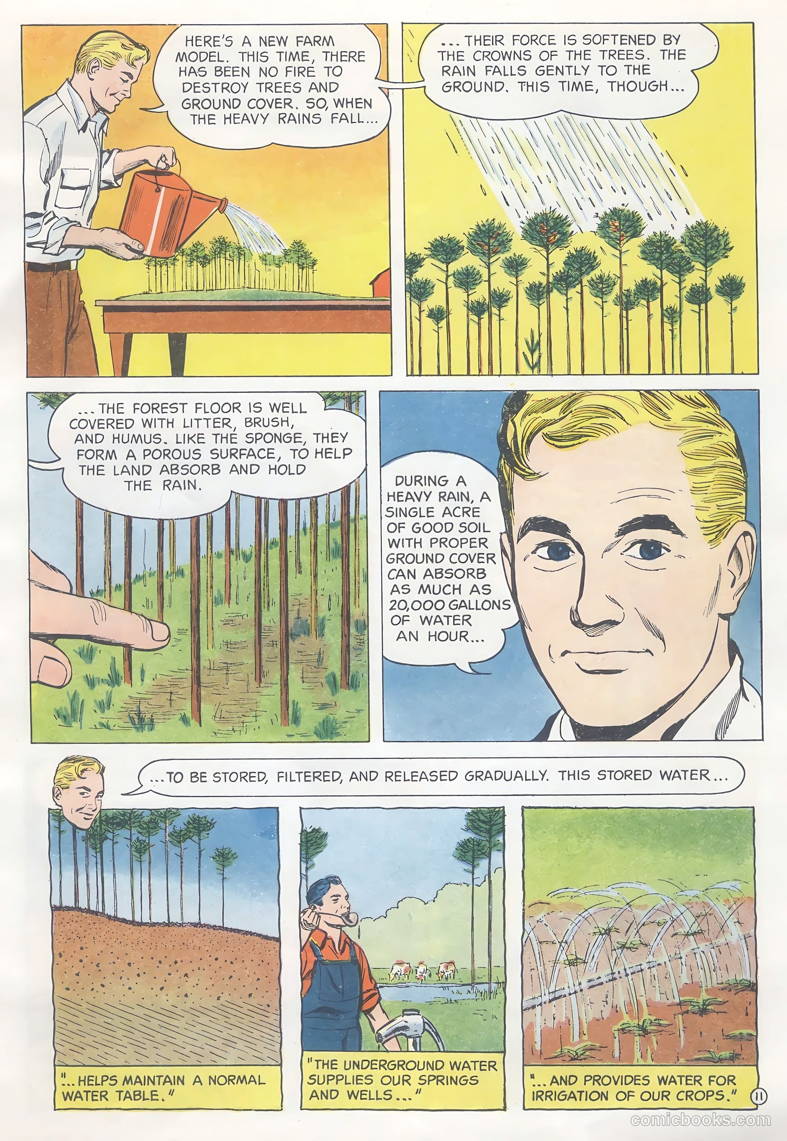 How Trees Put the Rain to Work #nn — page 11 of 16
