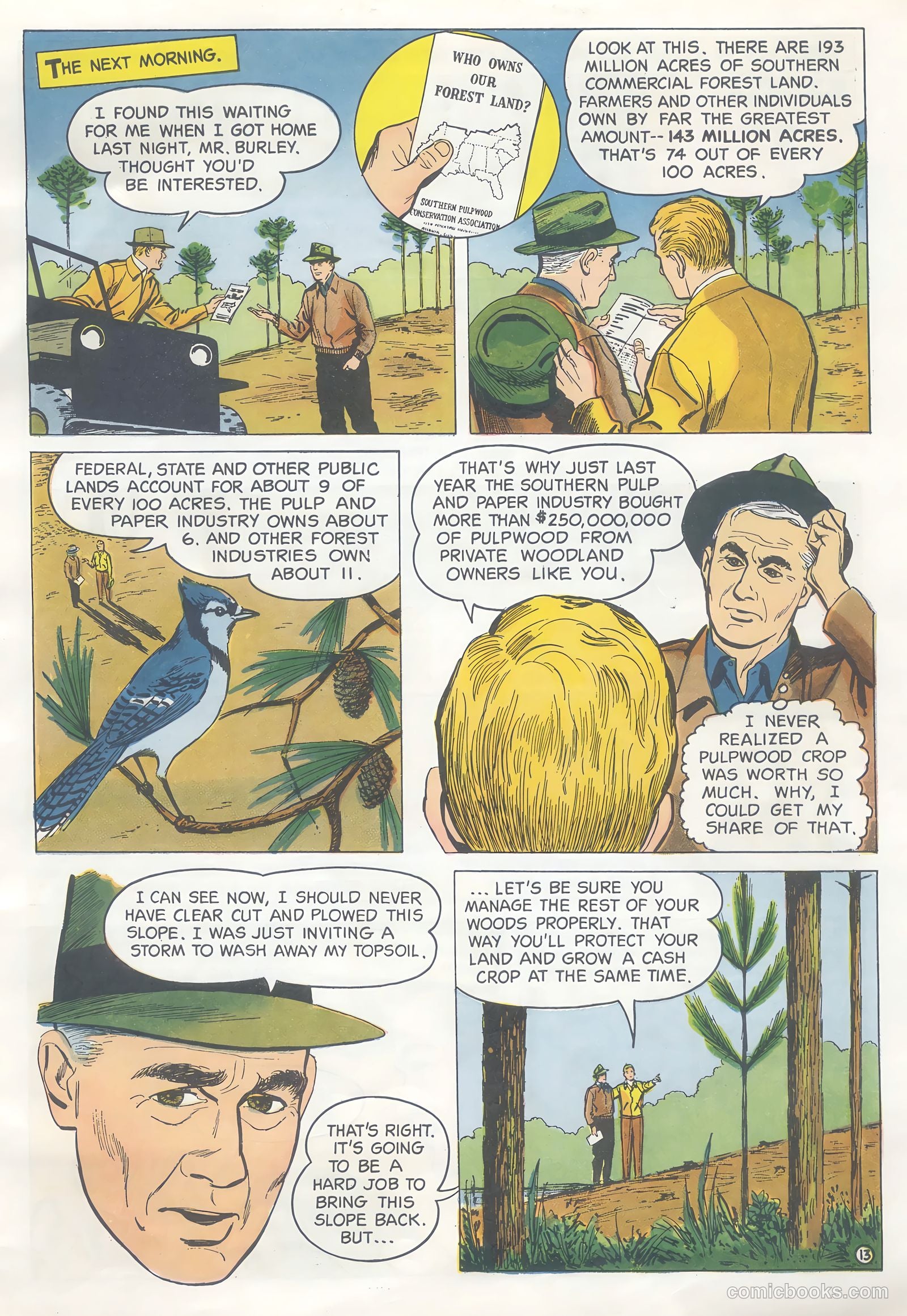 How Trees Put the Rain to Work #nn — page 13 of 16