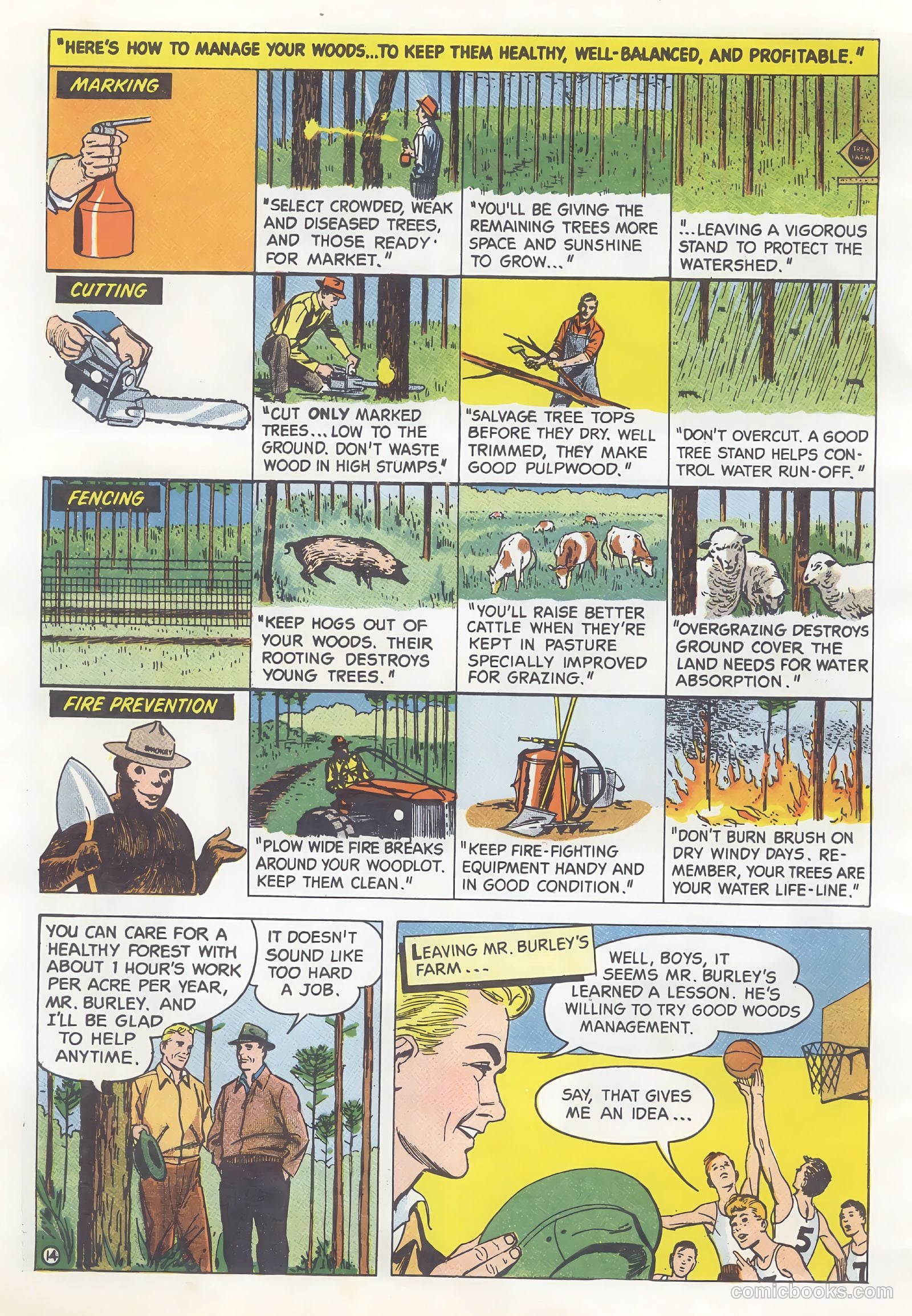 How Trees Put the Rain to Work #nn — page 14 of 16