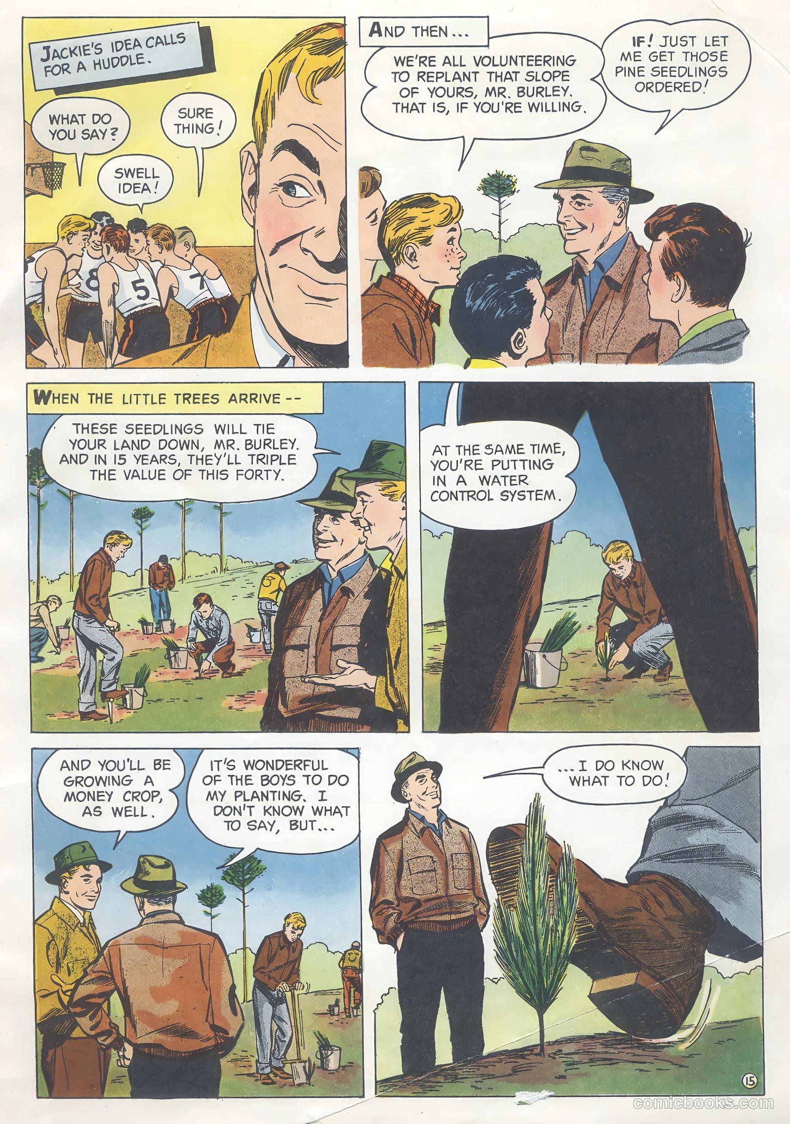 How Trees Put the Rain to Work #nn — page 15 of 16