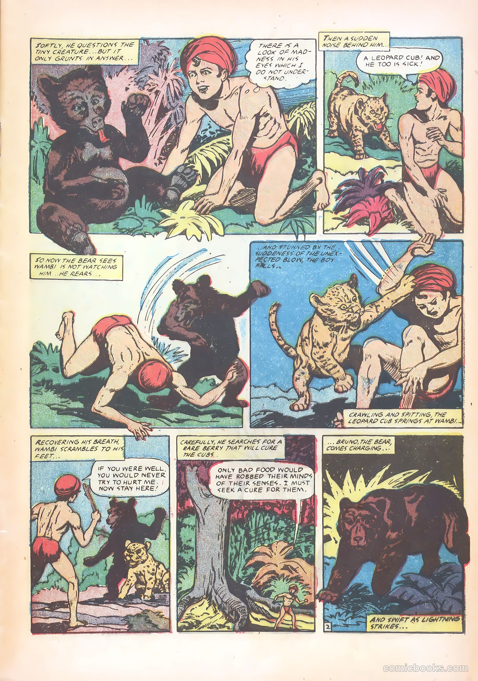 Wambi #15 — page 5 of 36