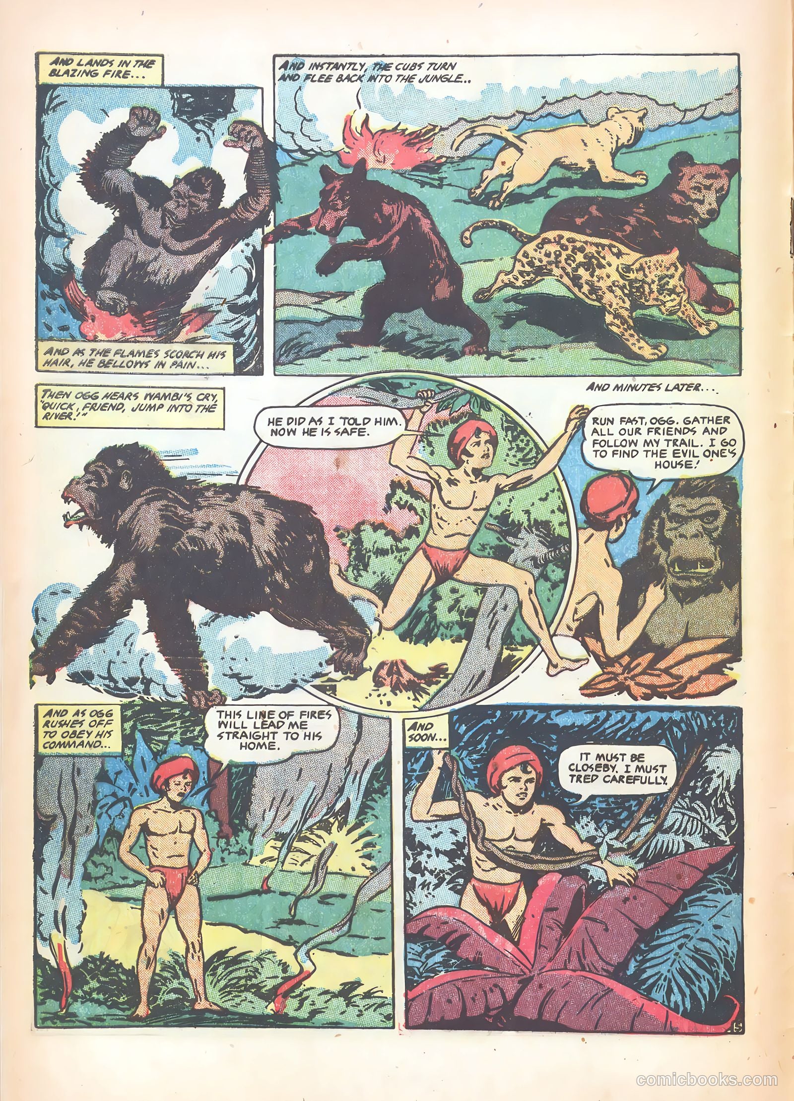 Wambi #15 — page 8 of 36
