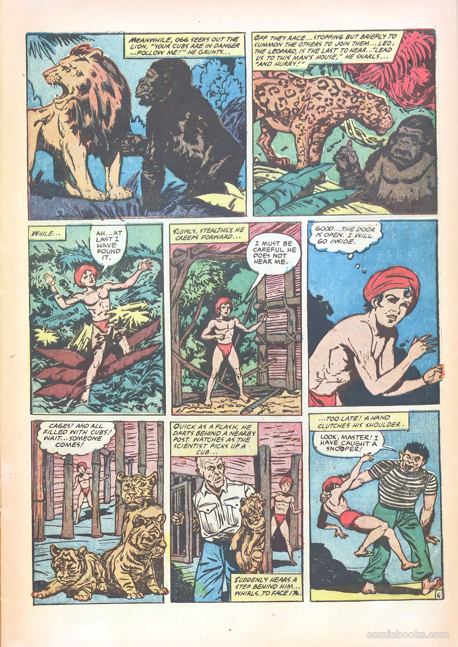 Wambi #15 — page 9 of 36