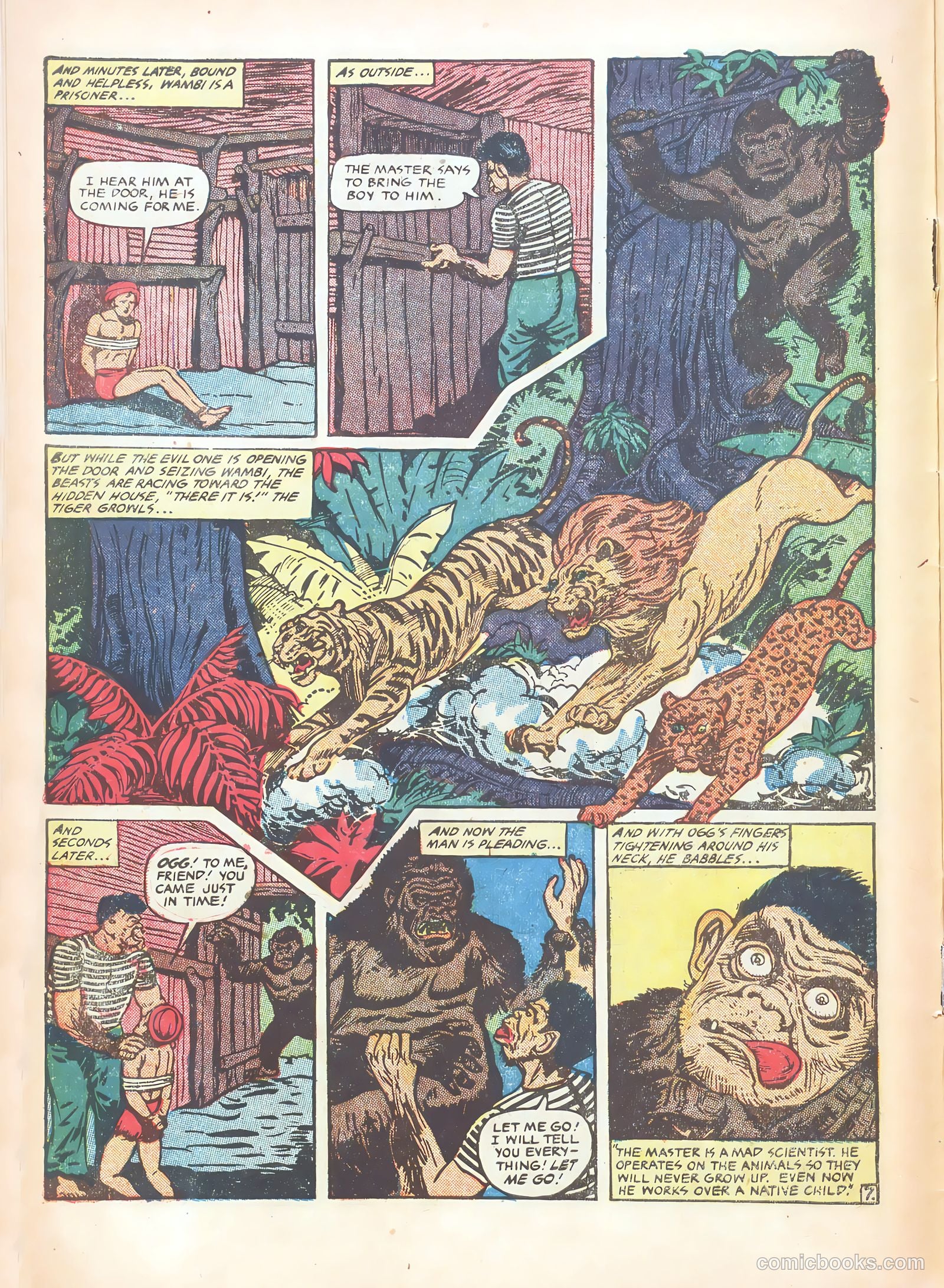Wambi #15 — page 10 of 36