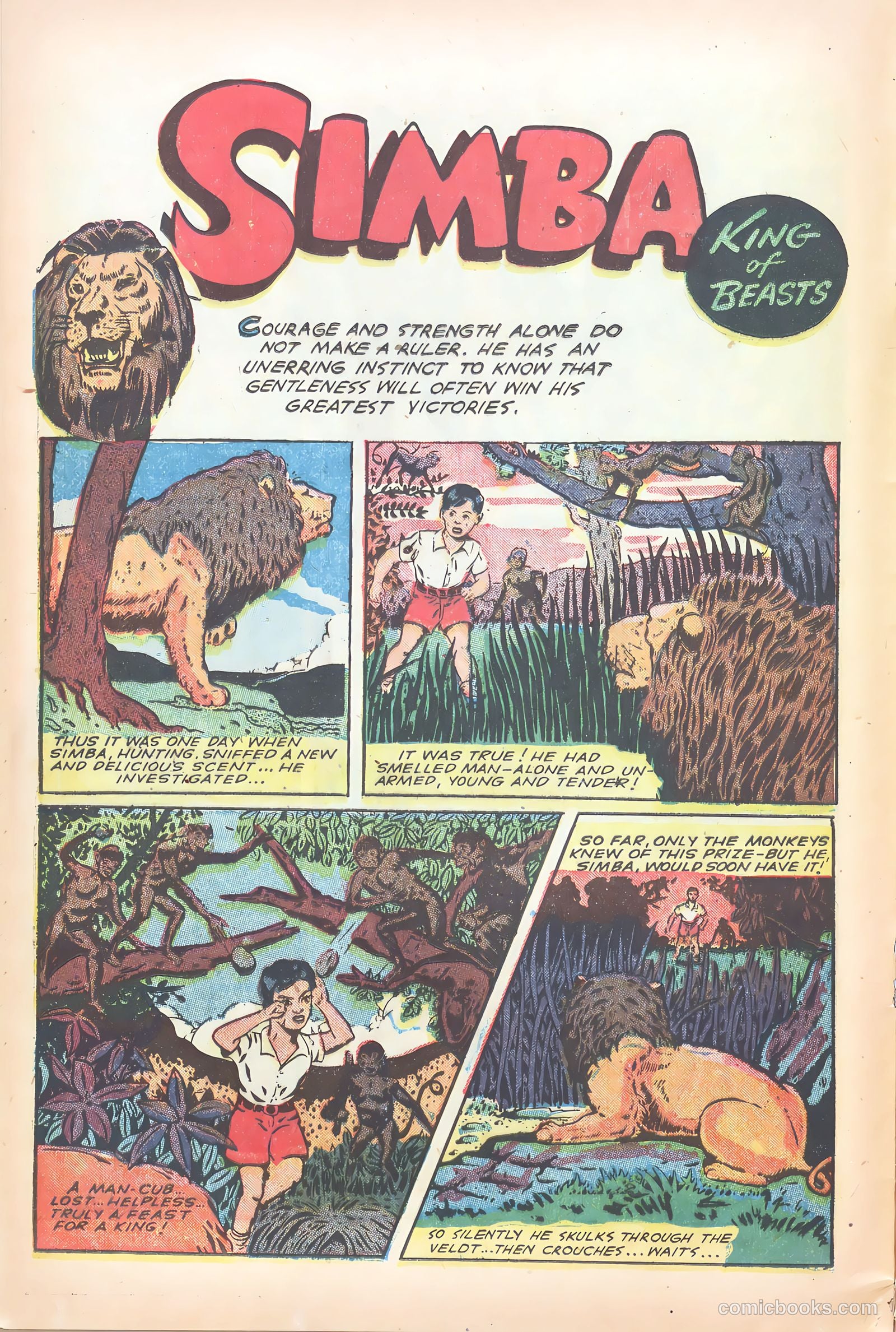Wambi #15 — page 12 of 36