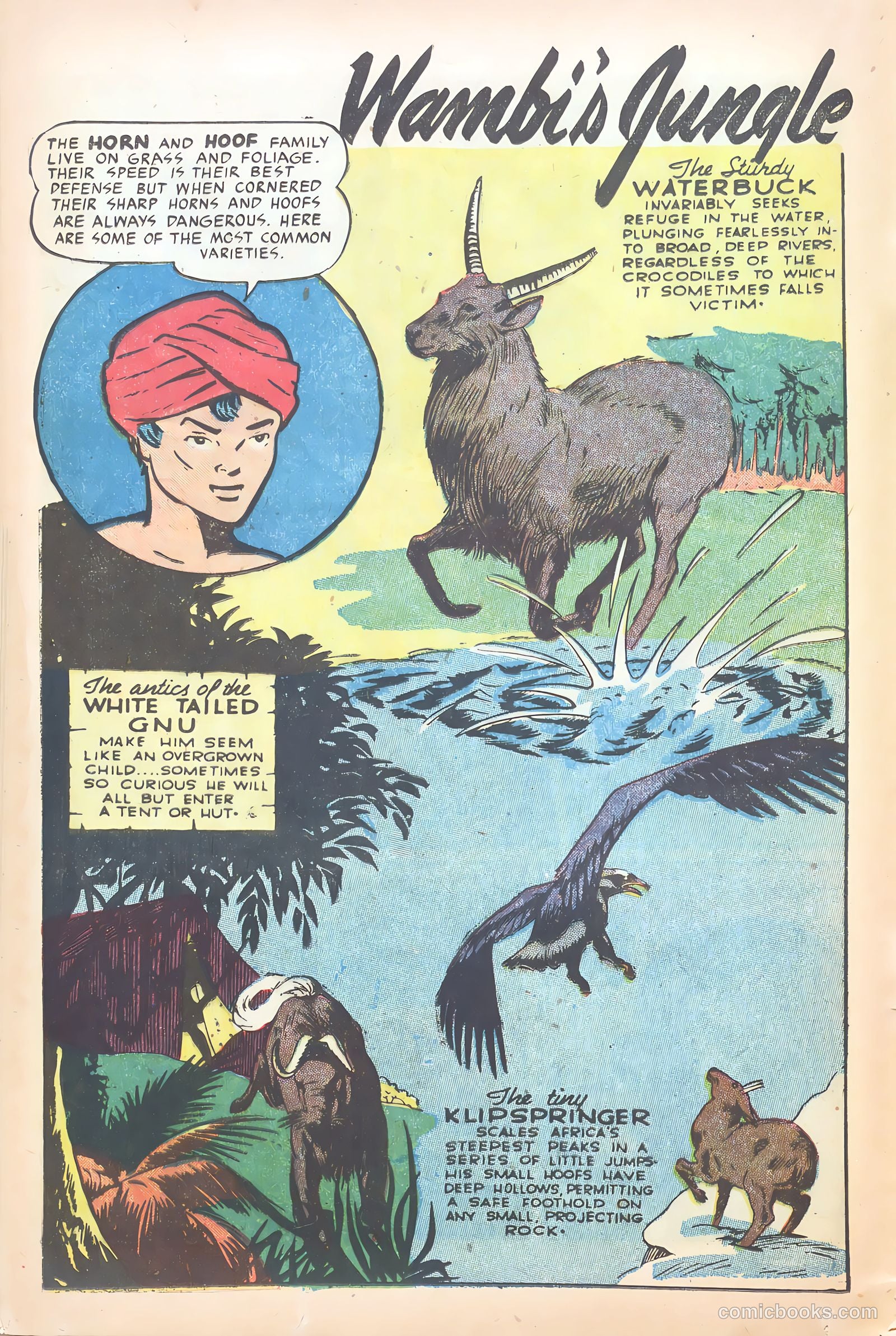 Wambi #15 — page 16 of 36