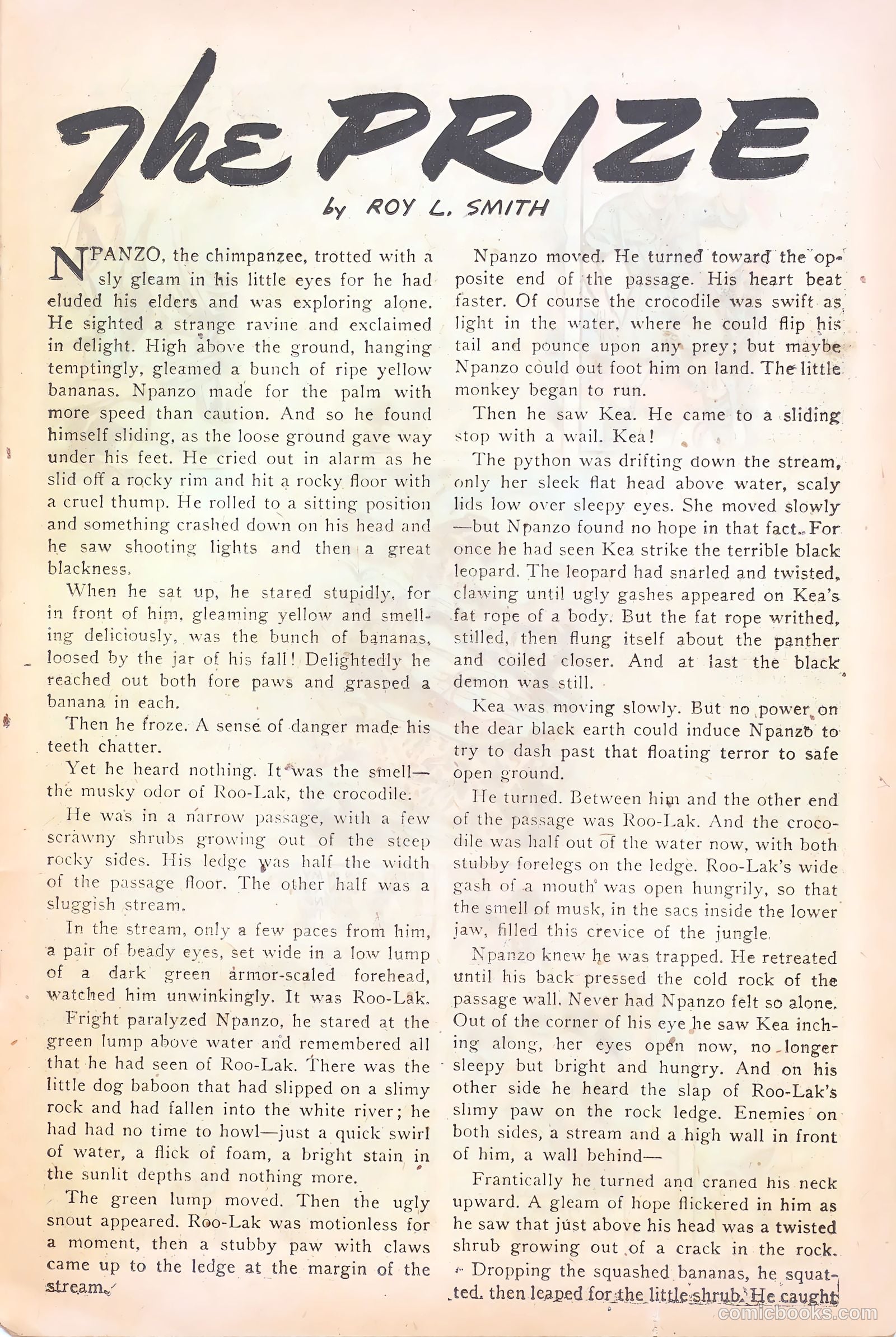 Wambi #15 — page 25 of 36