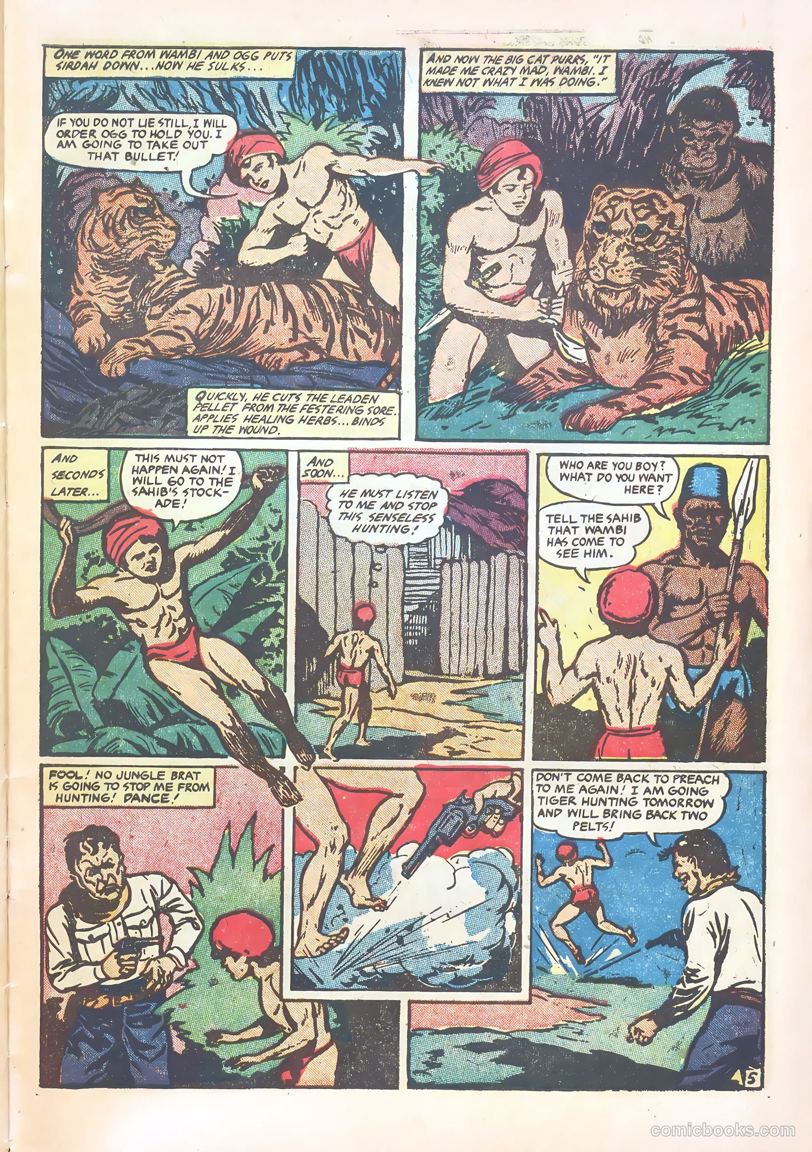 Wambi #15 — page 31 of 36