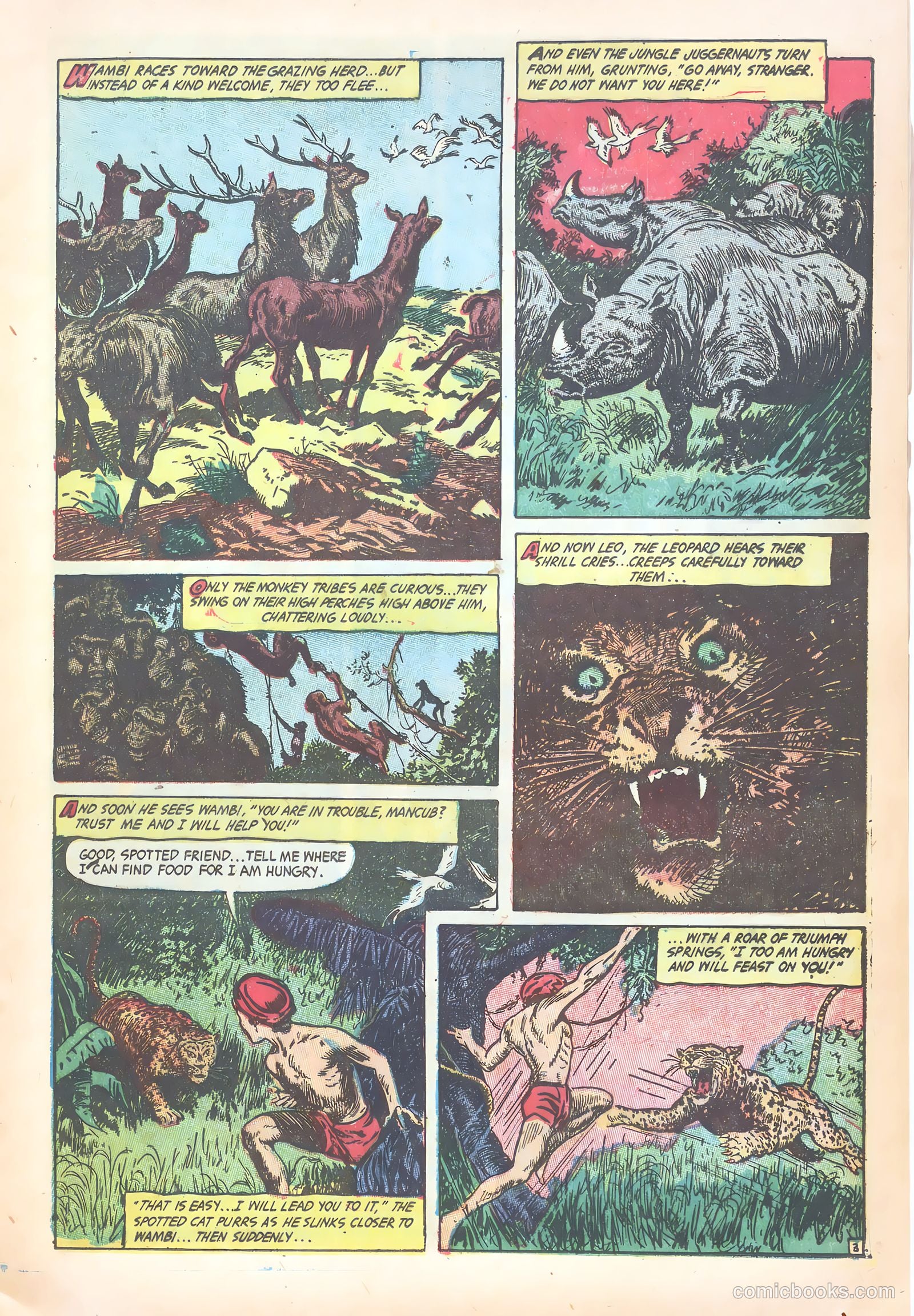 Wambi #18 — page 13 of 36