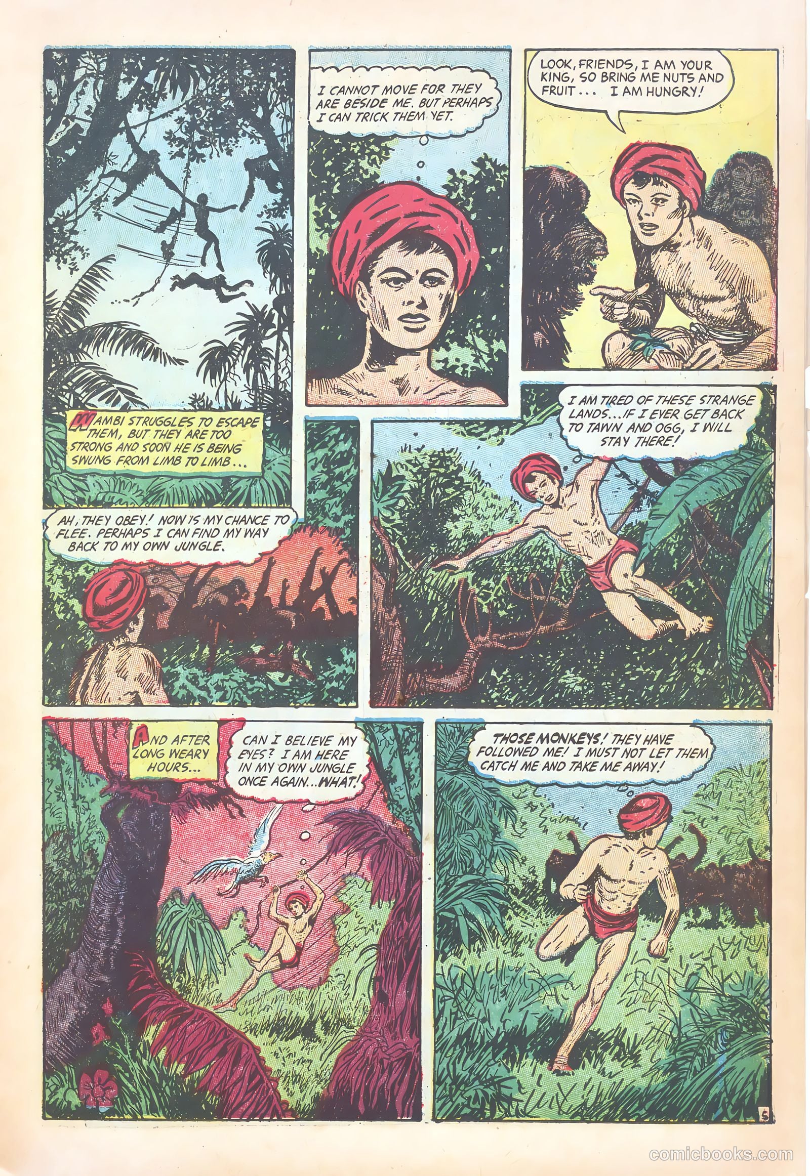 Wambi #18 — page 15 of 36
