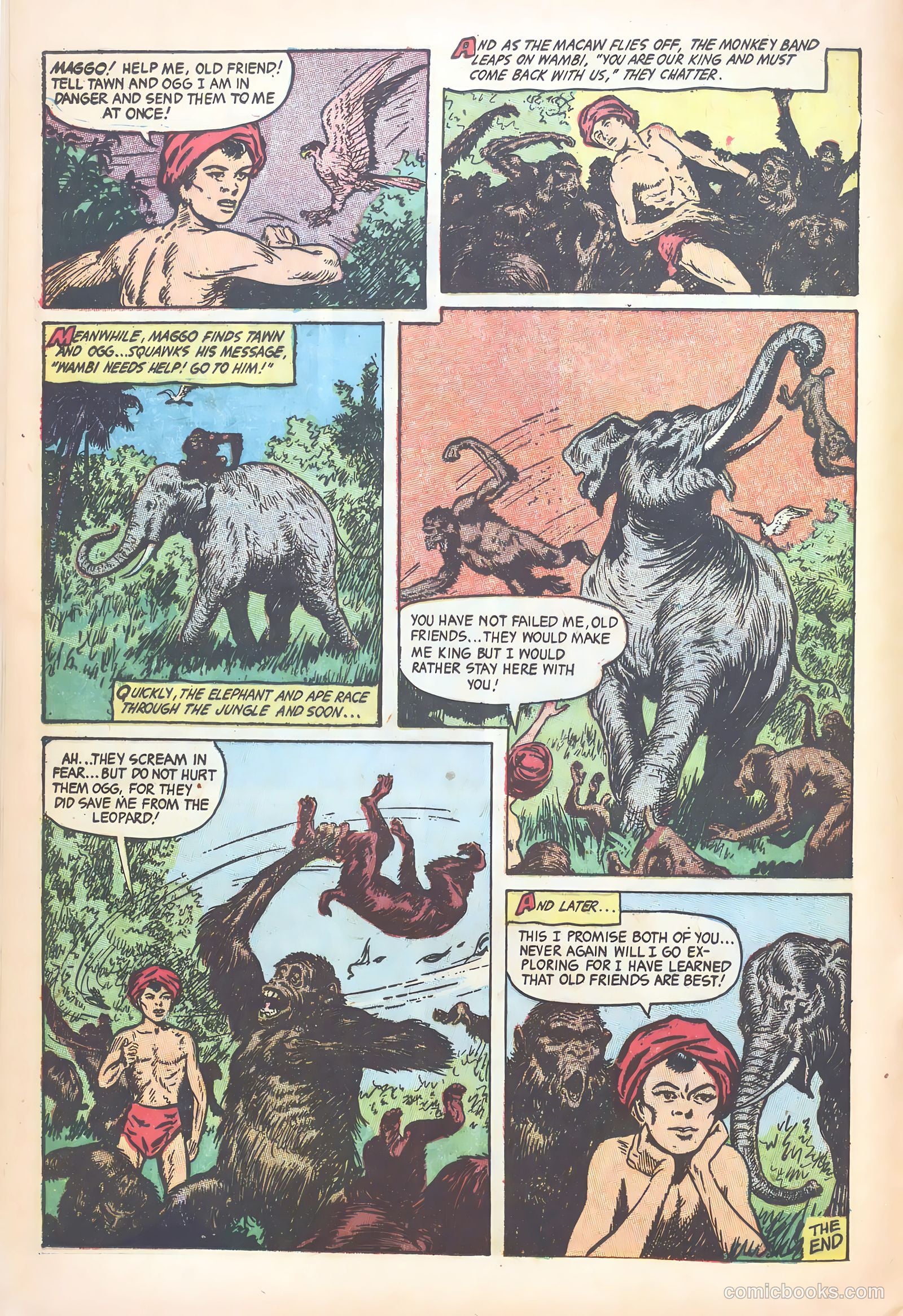 Wambi #18 — page 16 of 36