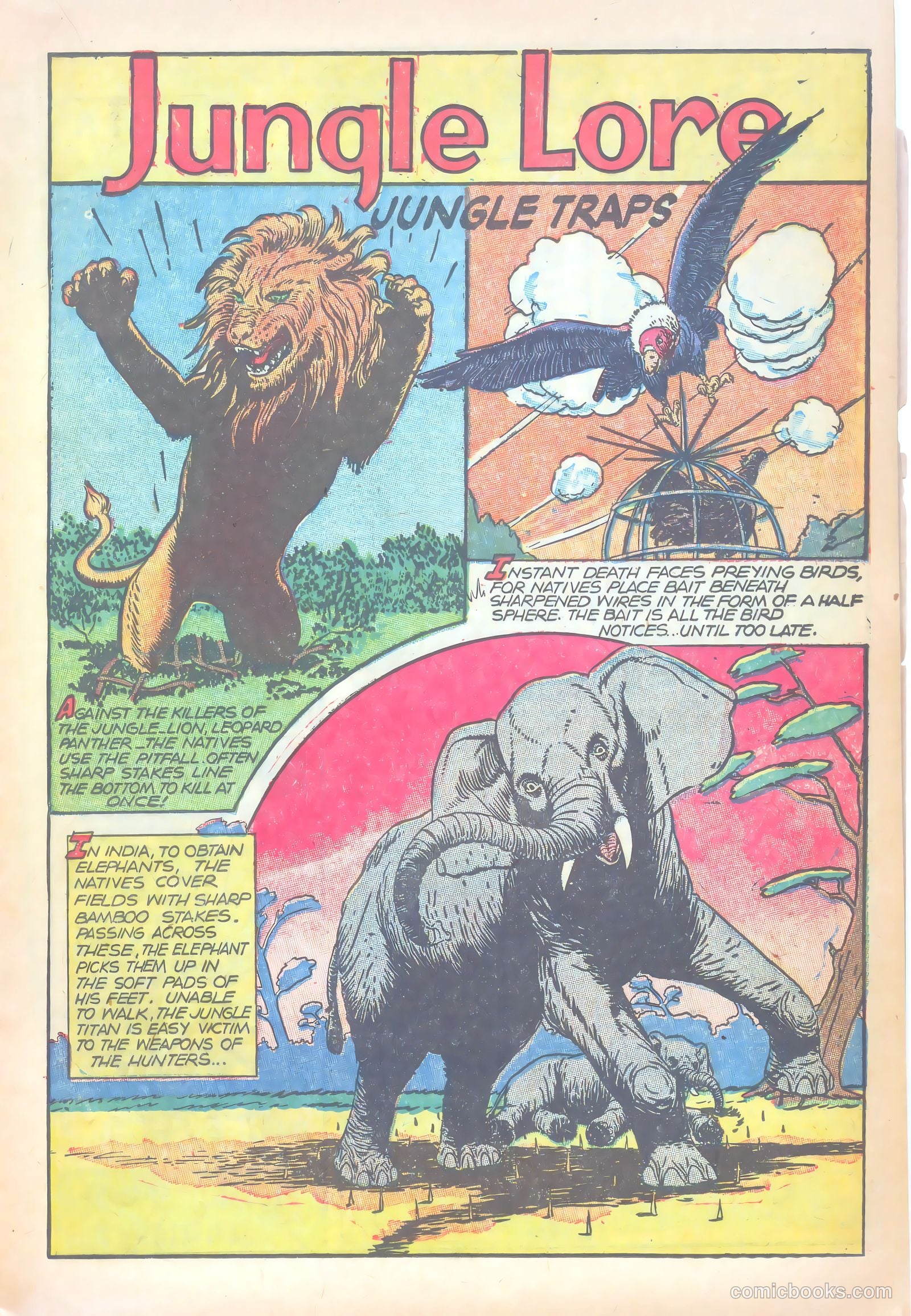 Wambi #18 — page 17 of 36