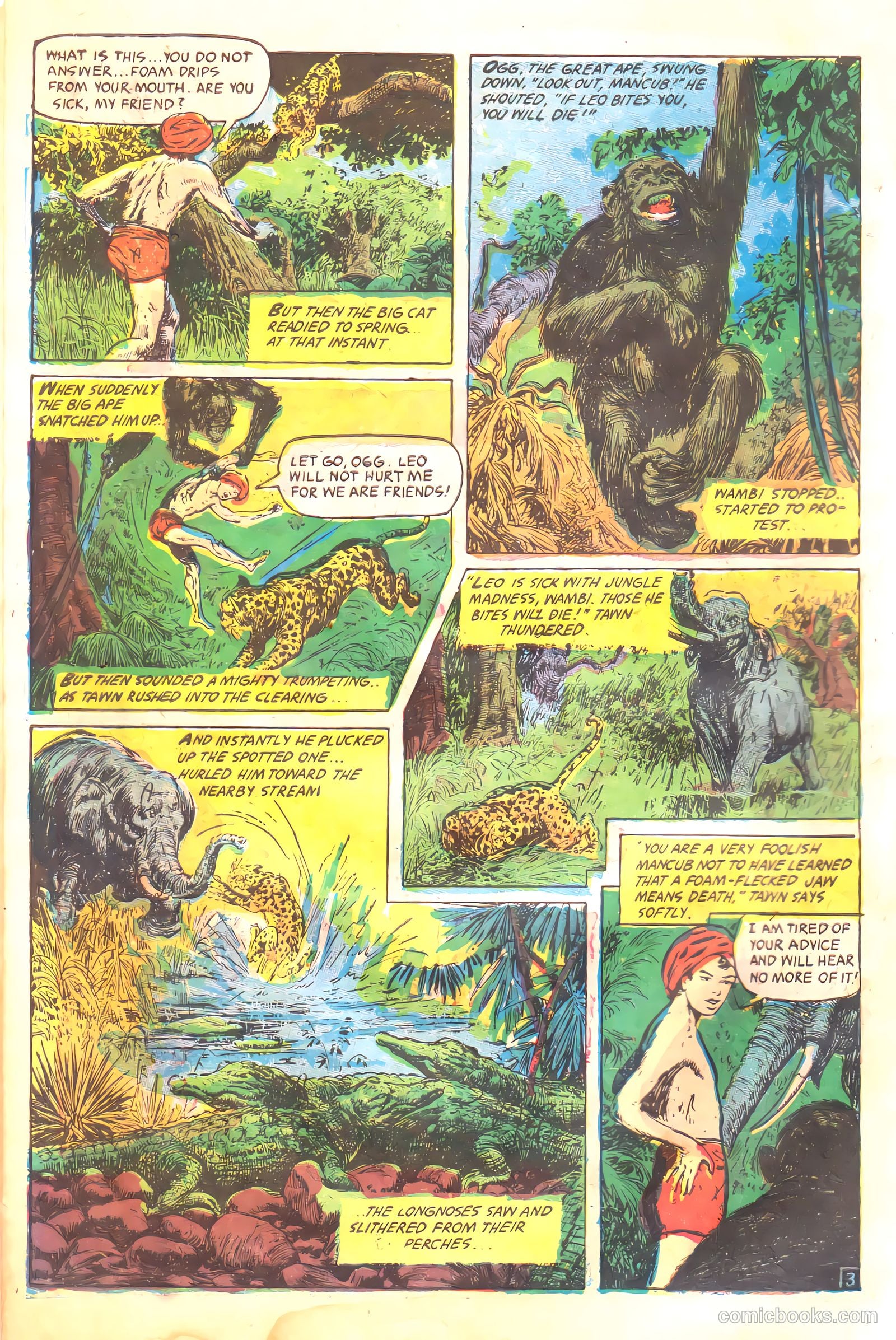Wambi #17 — page 6 of 36