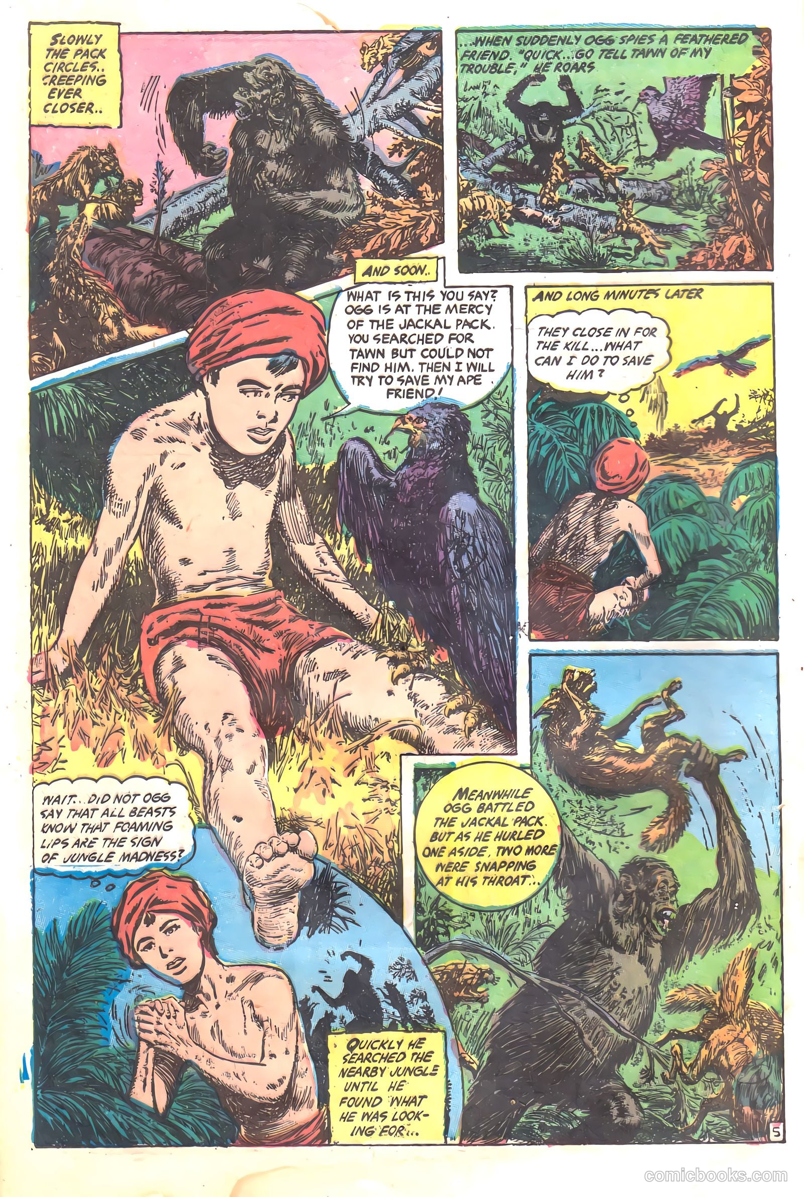 Wambi #17 — page 8 of 36