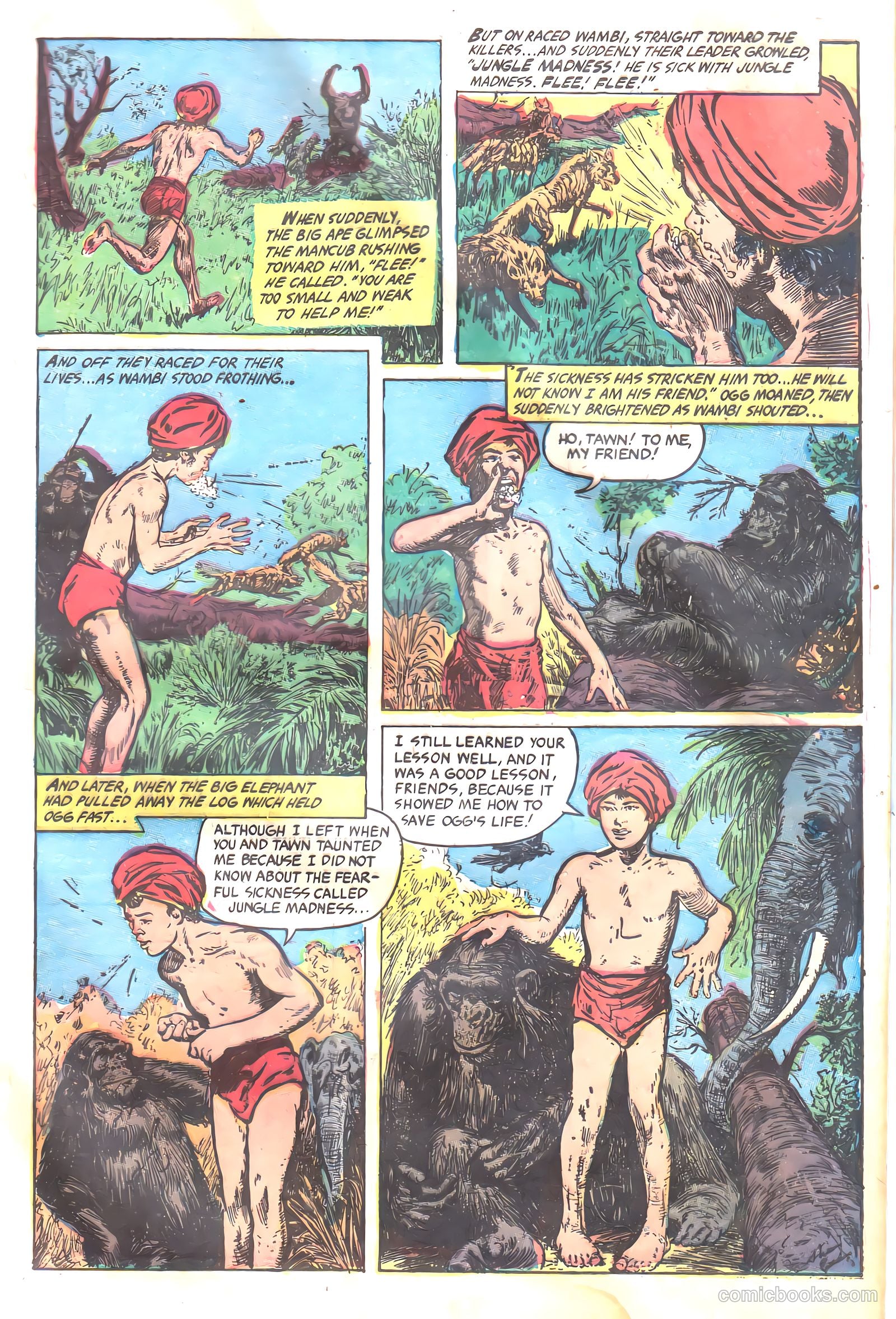 Wambi #17 — page 9 of 36