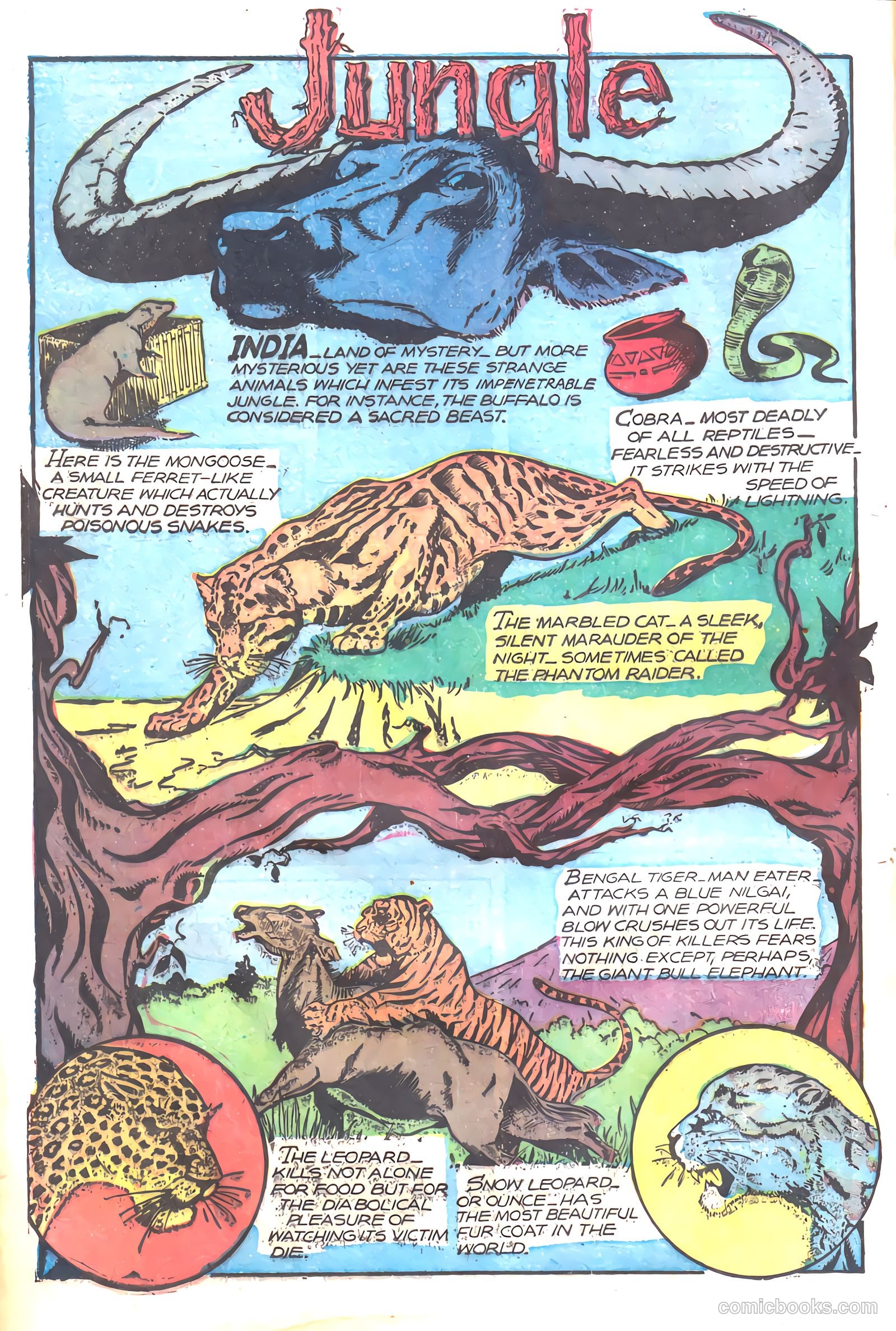 Wambi #17 — page 16 of 36