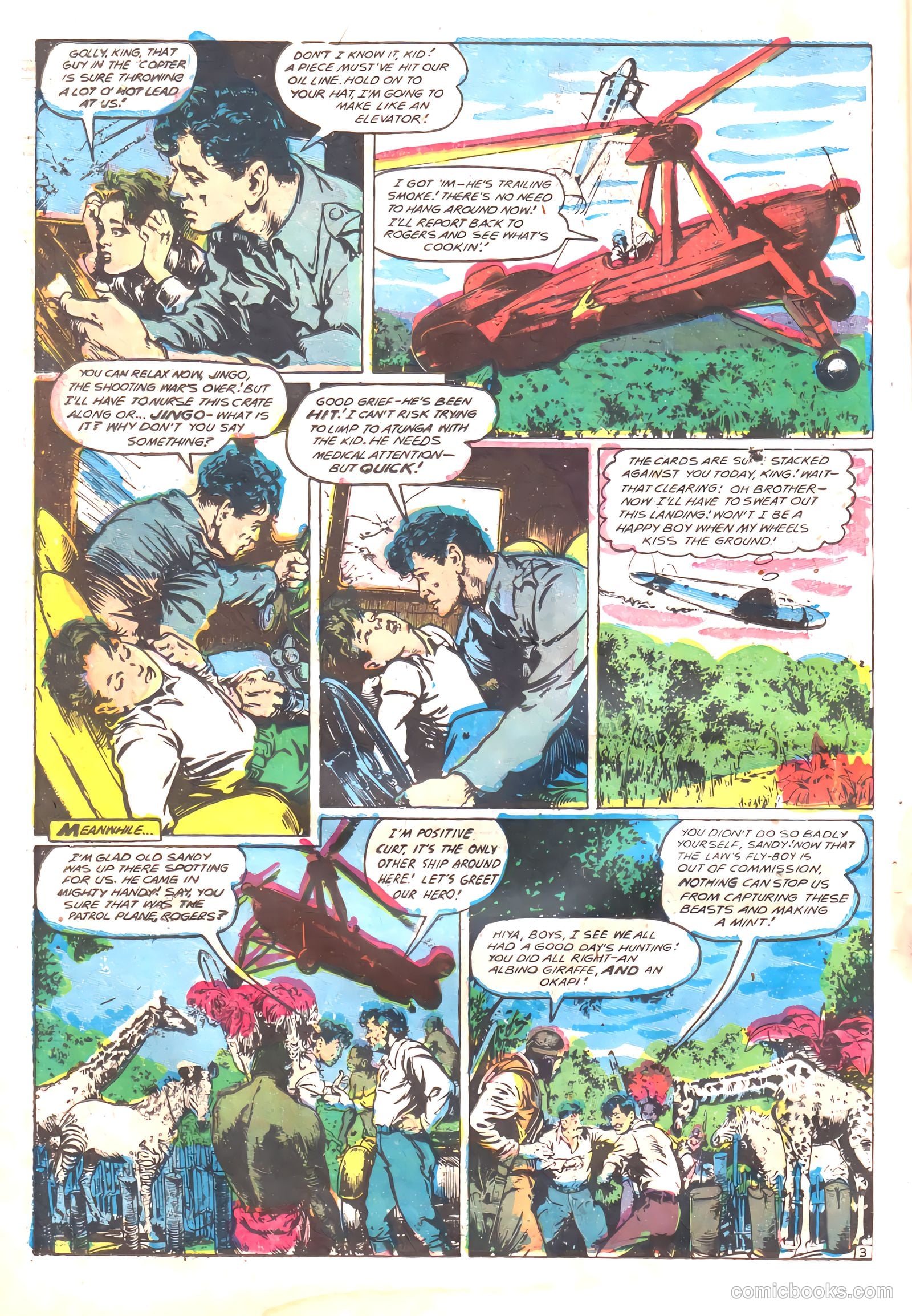 Wambi #17 — page 22 of 36