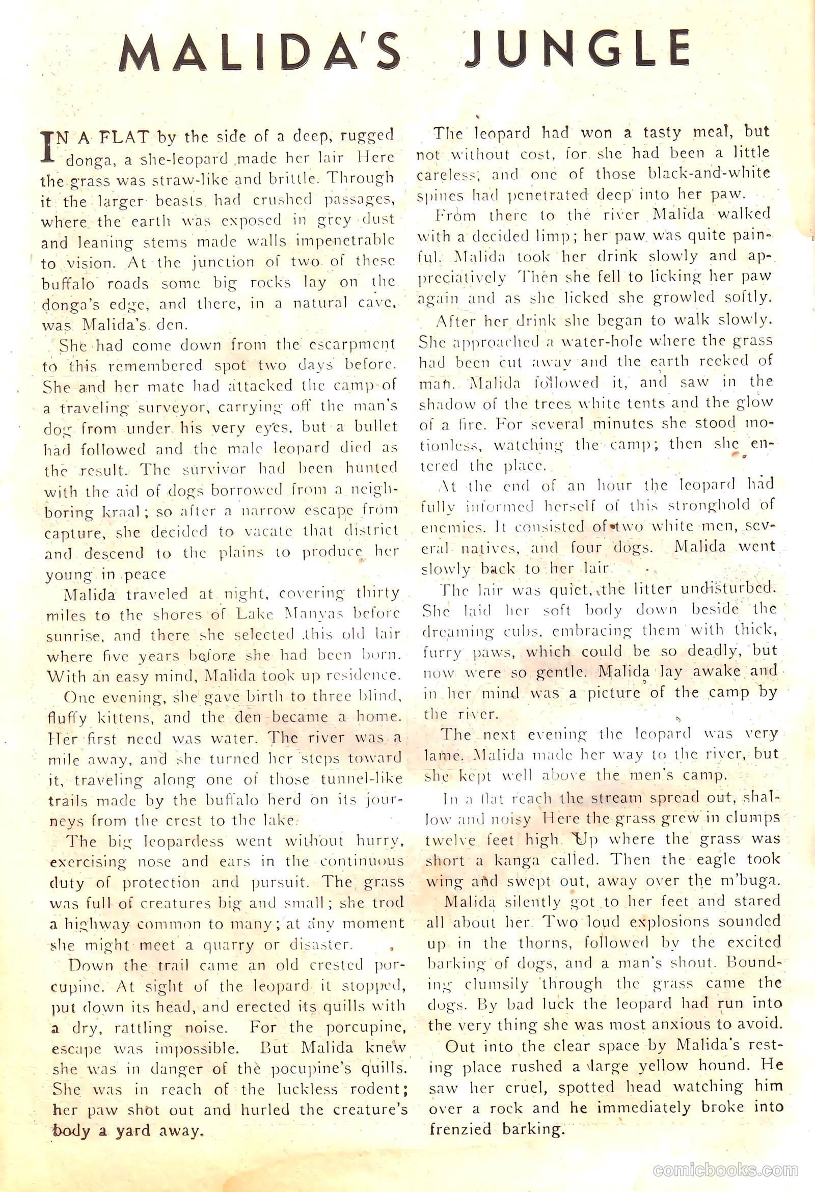 Wambi #17 — page 26 of 36