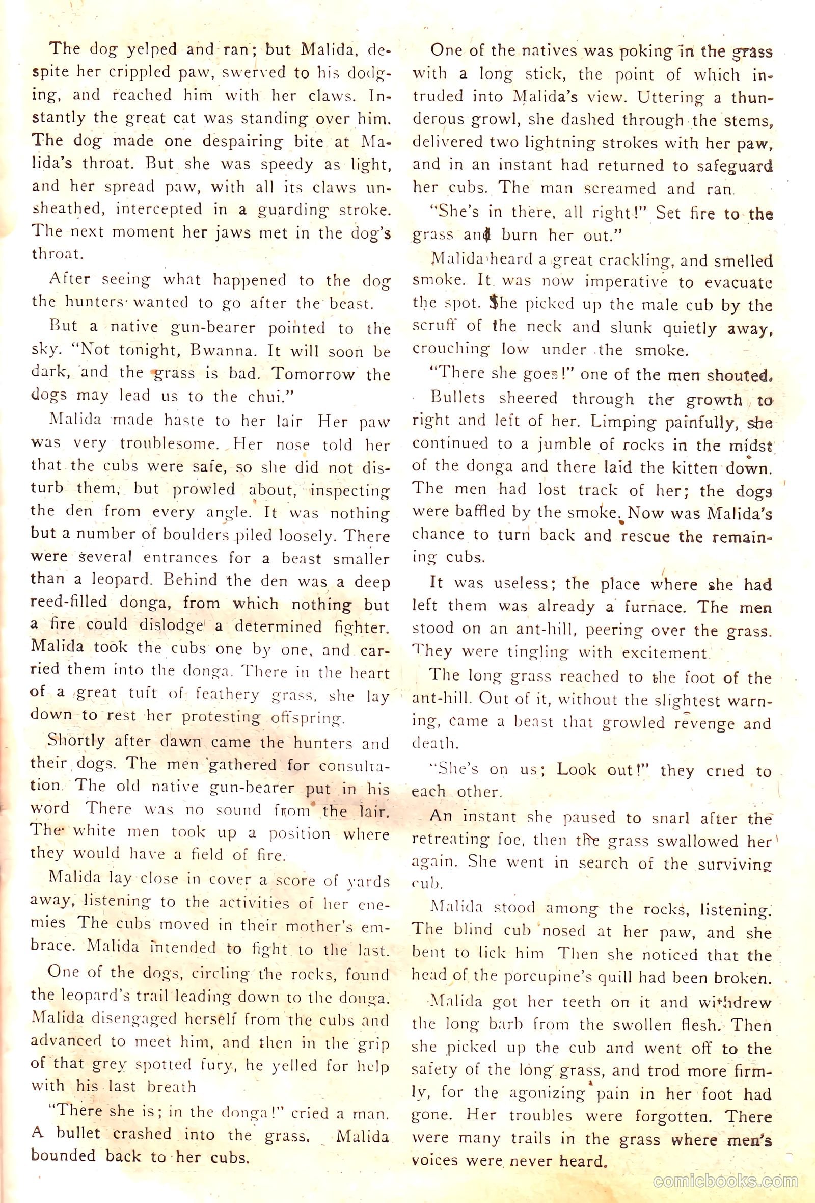 Wambi #17 — page 27 of 36