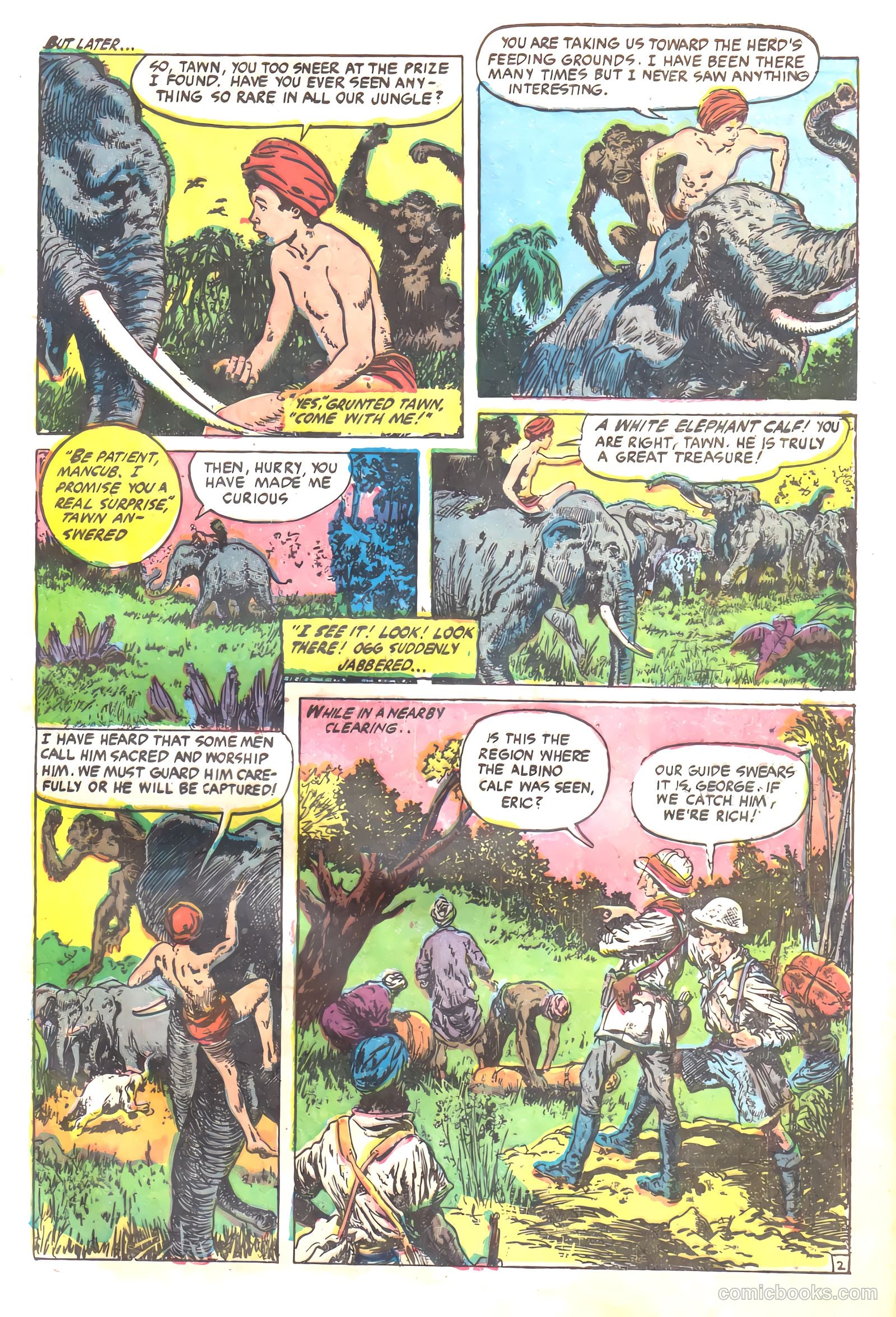Wambi #17 — page 29 of 36