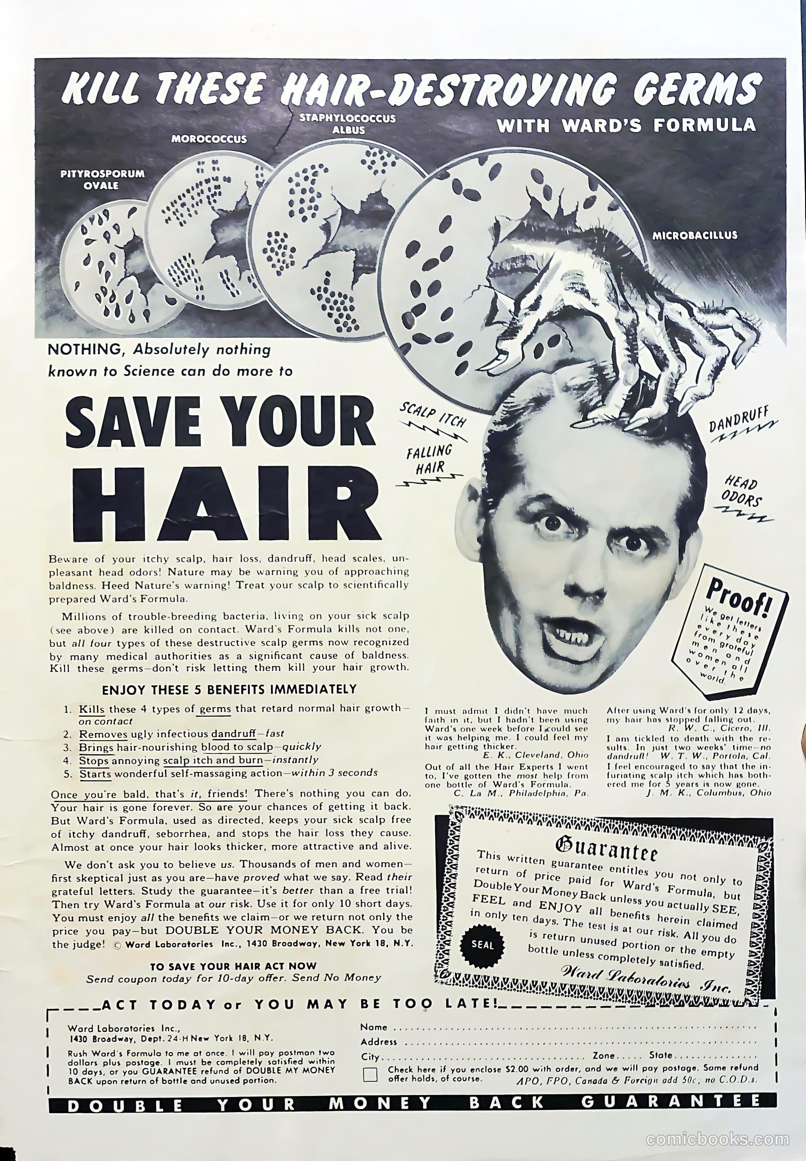 Baseball Thrills #10 — page 35 of 36