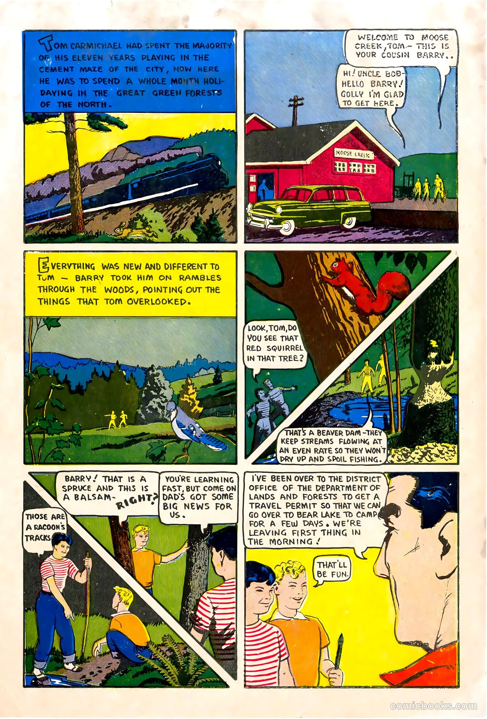 A City Boy in the Woods #nn — page 2 of 12