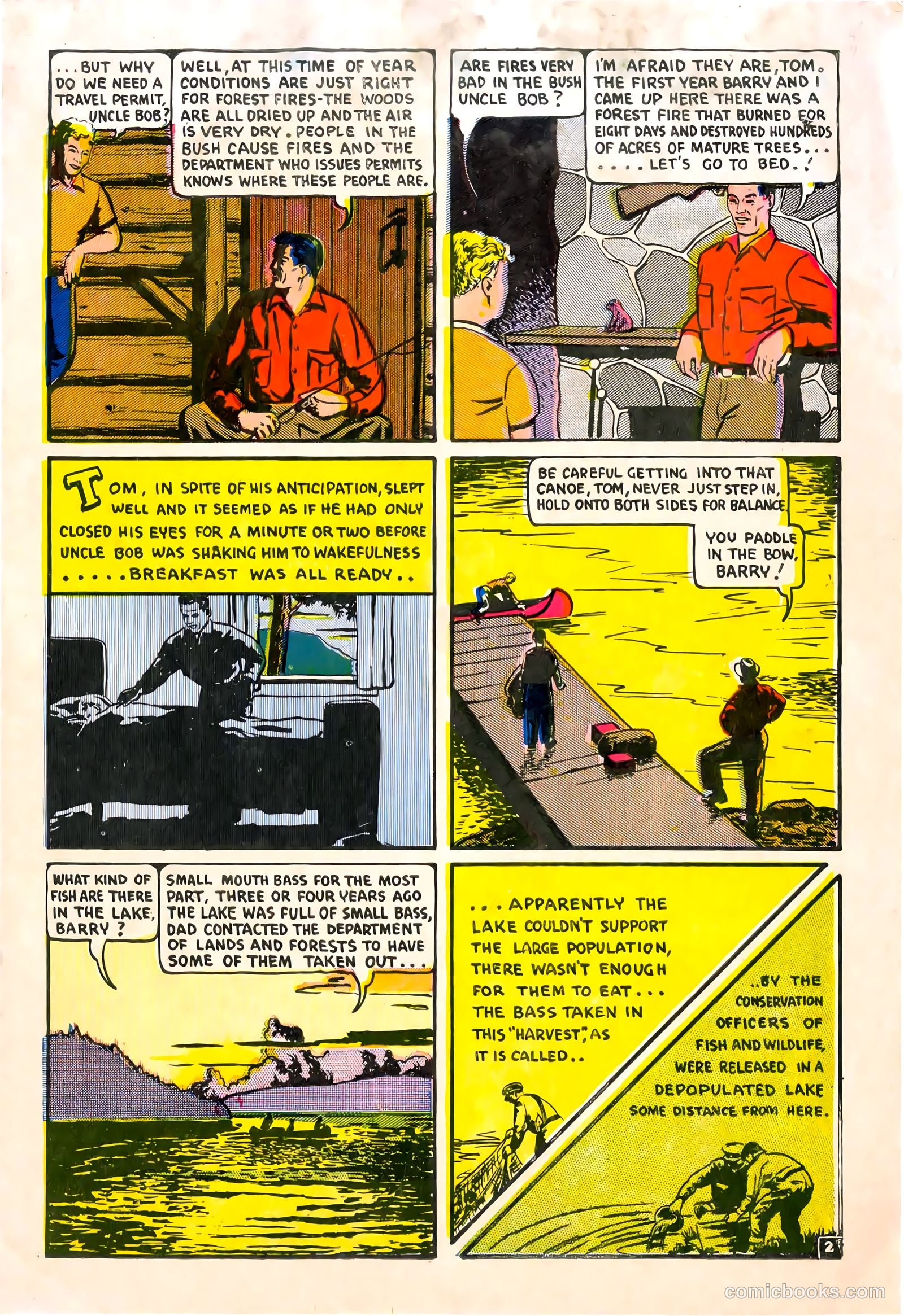 A City Boy in the Woods #nn — page 3 of 12