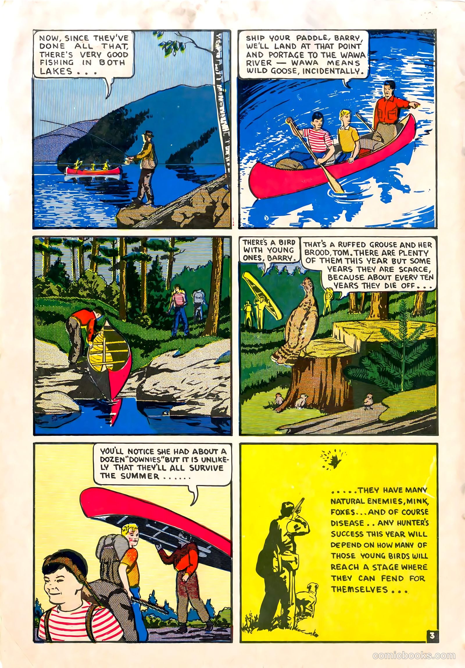 A City Boy in the Woods #nn — page 4 of 12