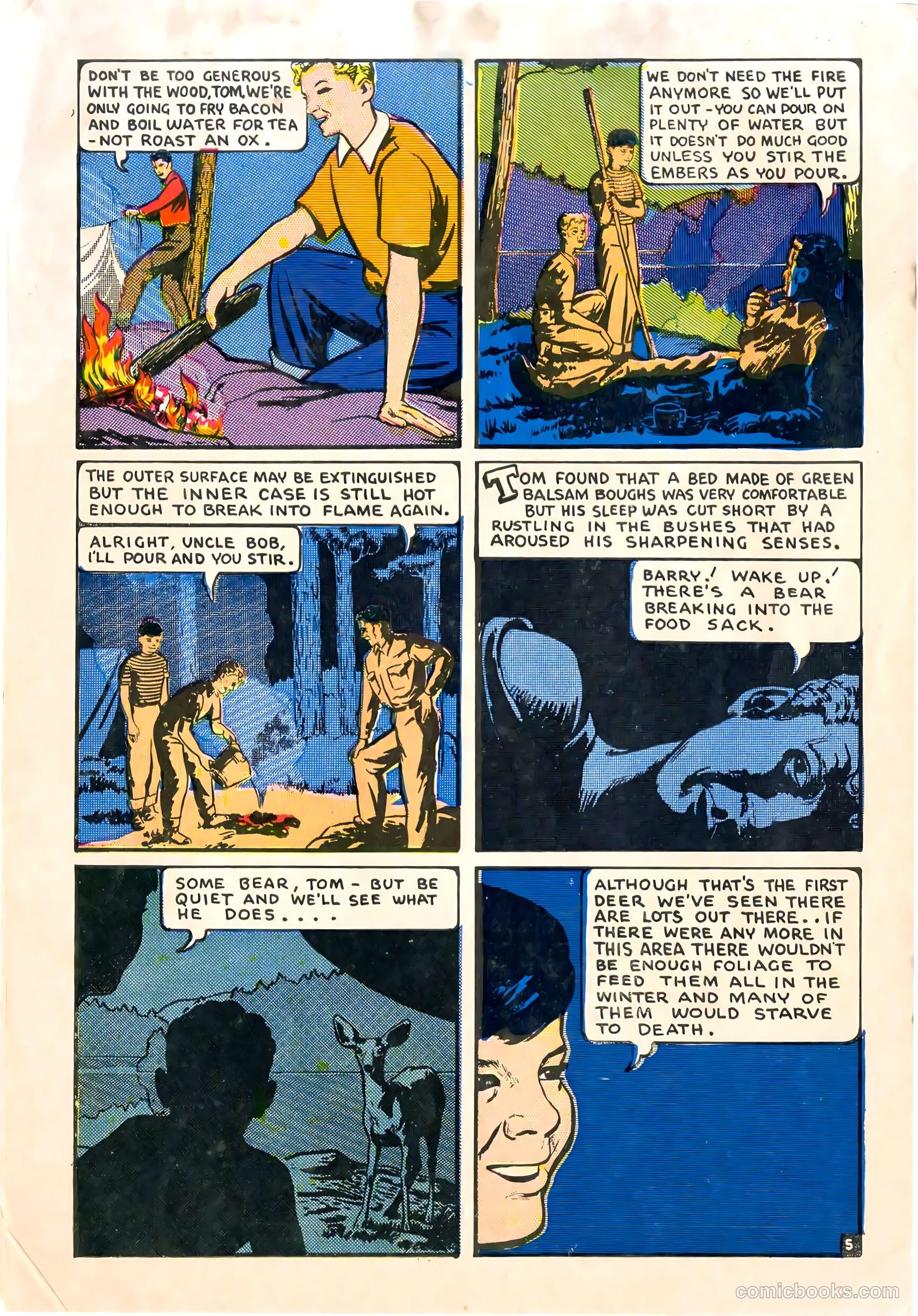 A City Boy in the Woods #nn — page 6 of 12