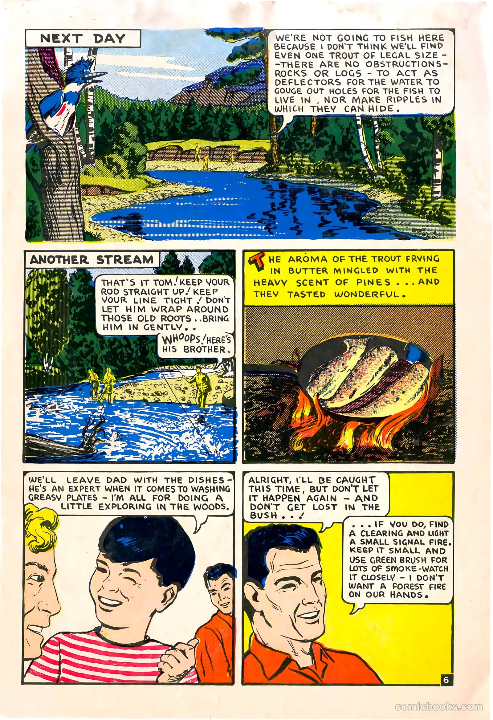 A City Boy in the Woods #nn — page 7 of 12