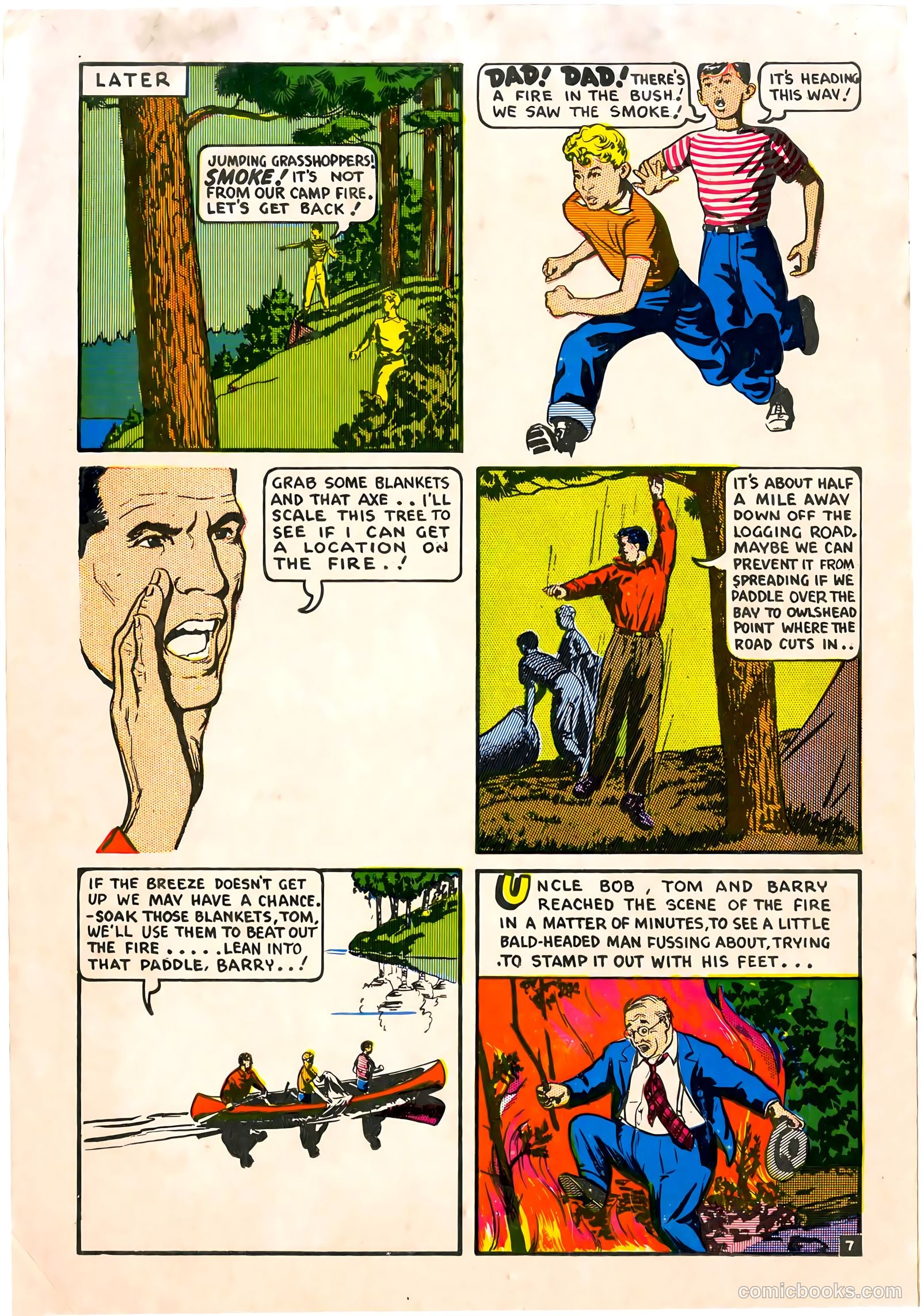 A City Boy in the Woods #nn — page 8 of 12