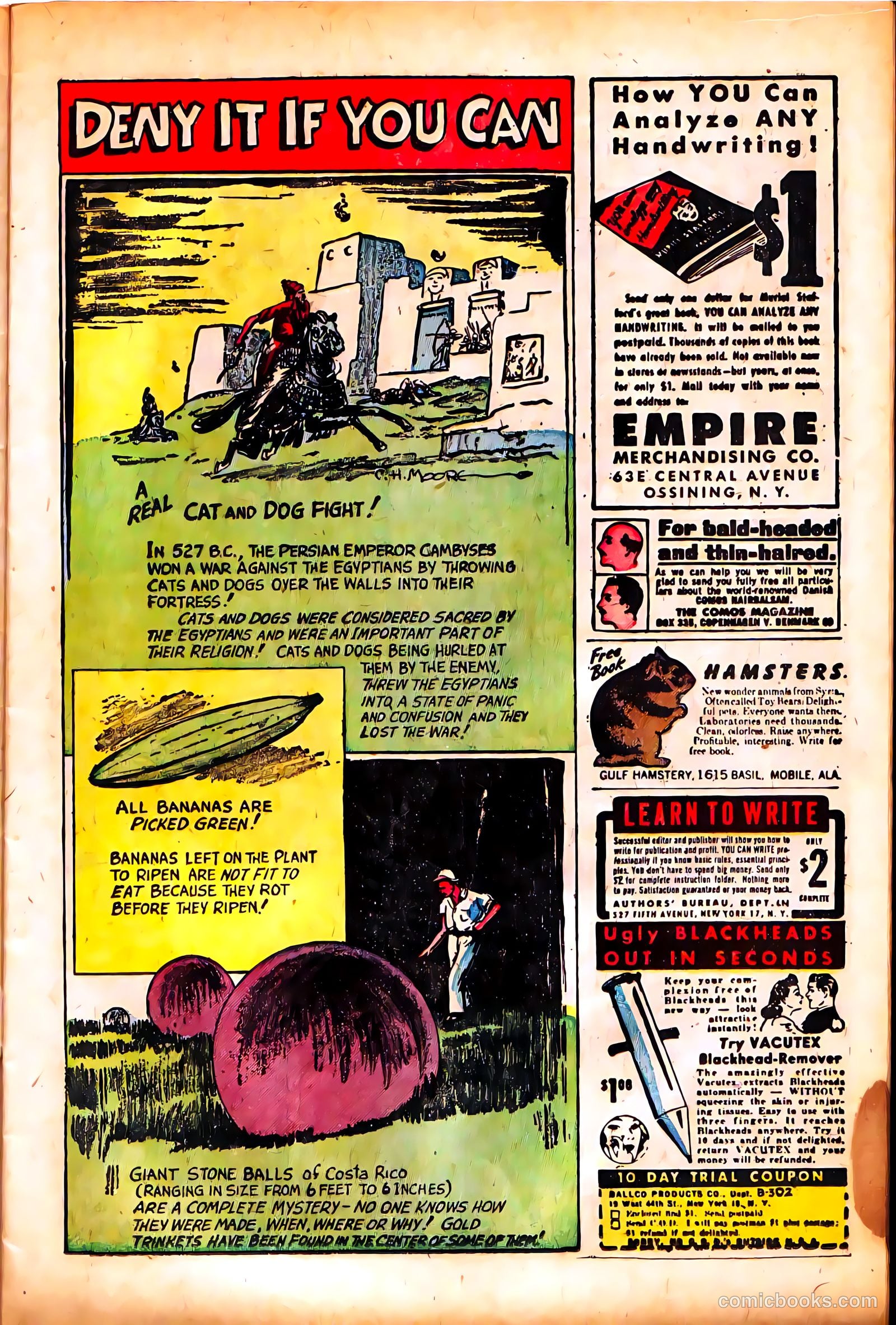 Boy Comics #52 — page 15 of 52