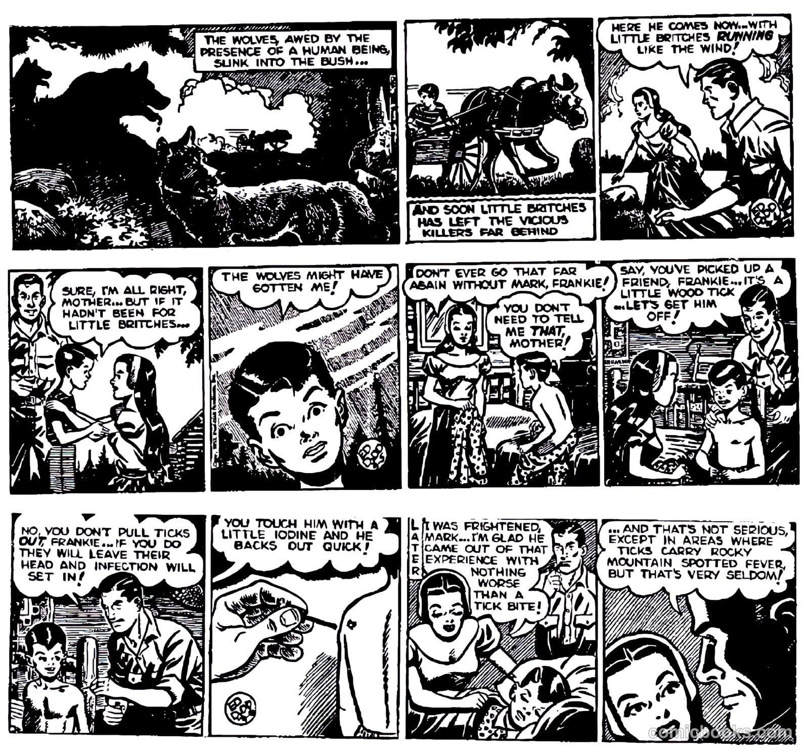 Mark Trail #nn — page 20 of 74