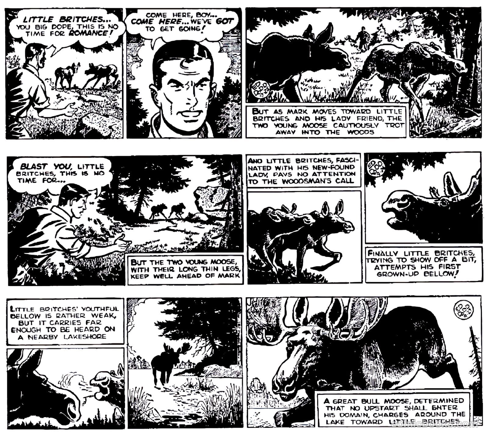 Mark Trail #nn — page 26 of 74