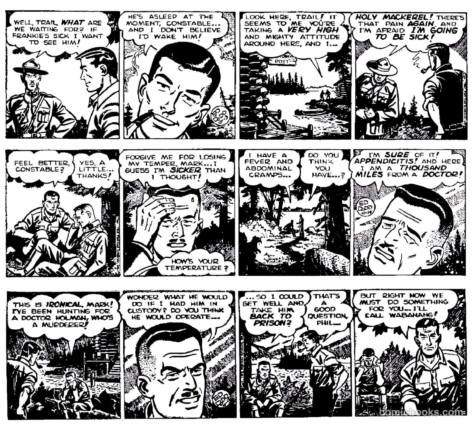 Mark Trail #nn — page 31 of 74