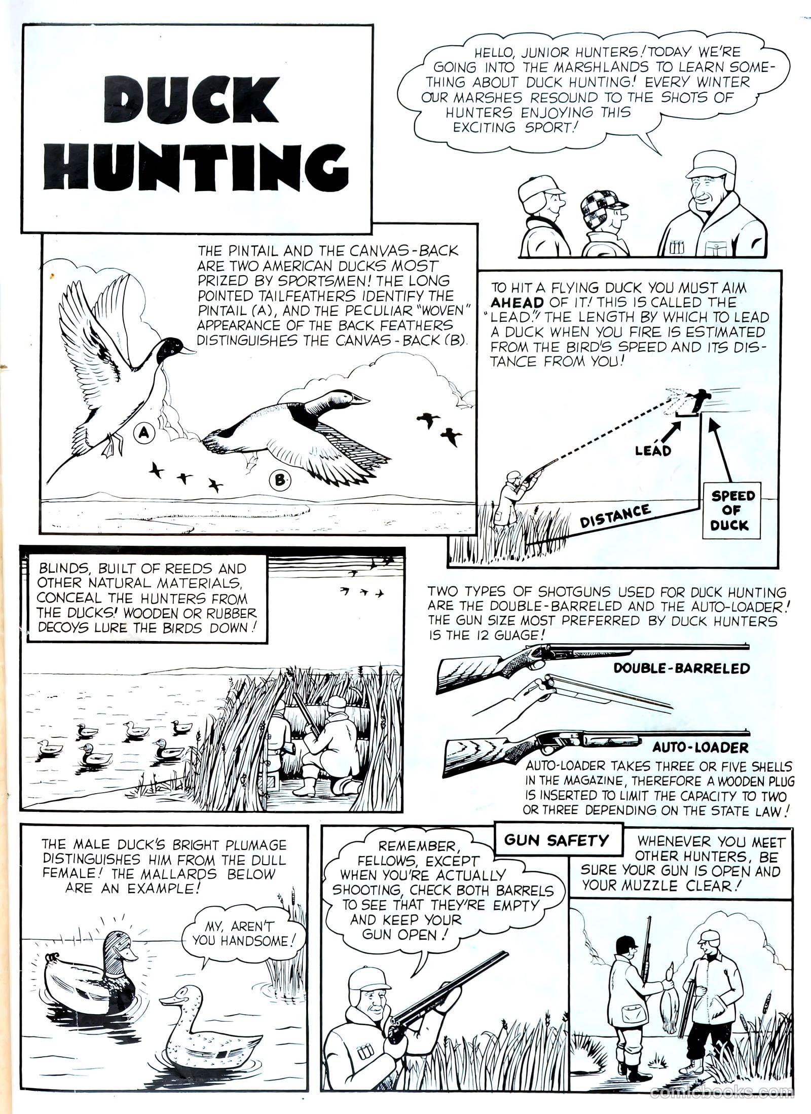 Bob Swift #2 — page 34 of 36
