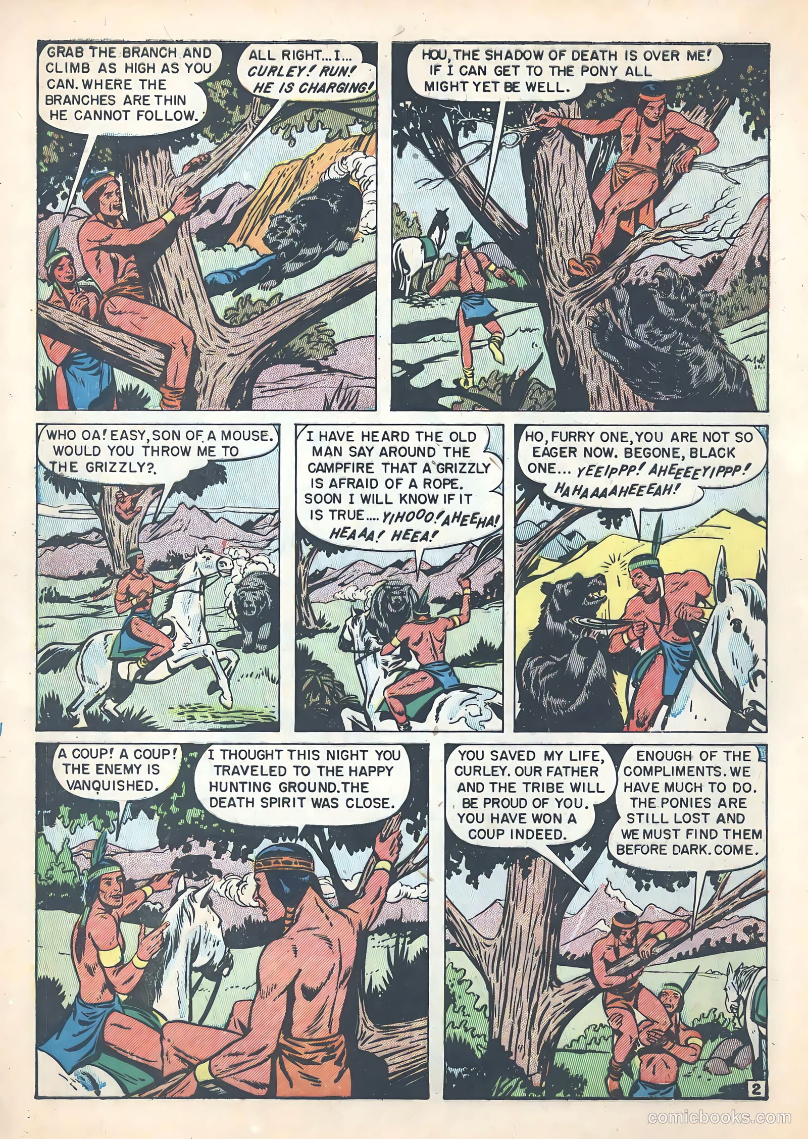 Chief Crazy Horse nn #1 — page 4 of 36