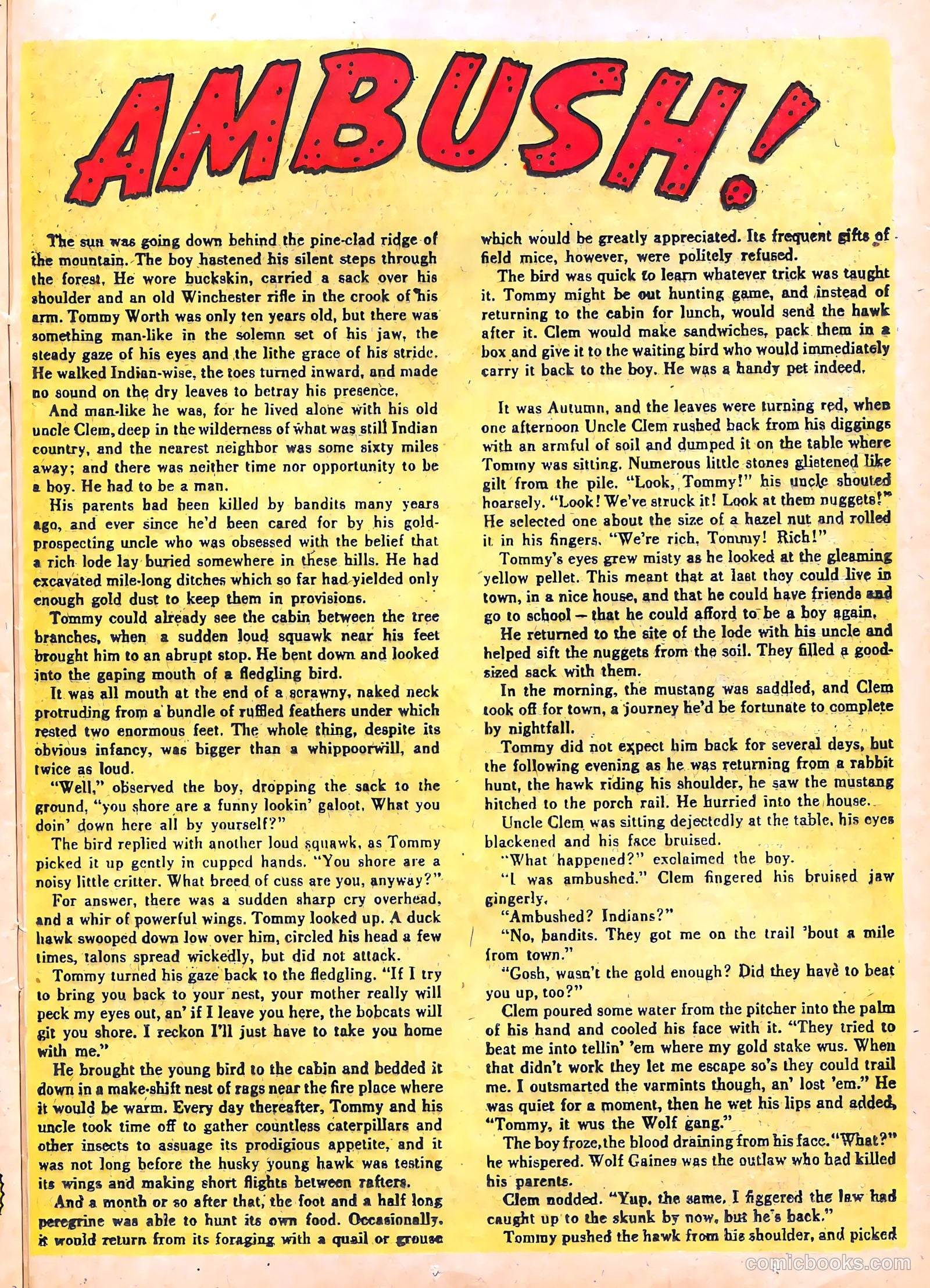 The Lone Rider #21 — page 25 of 36